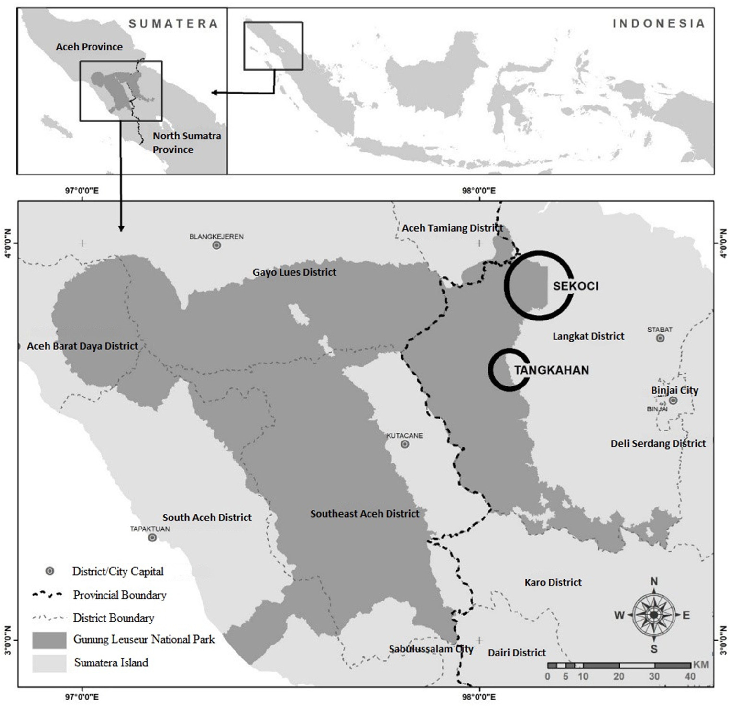 Indo Av Tube Sustainability | Free Full-Text | Ecotourism as a Resource Sharing Strategy: Case Study of Community-Based Ecotourism at the Tangkahan Buffer Zone of Leuser National Park, Langkat District, North Sumatra, Indonesia