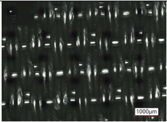 Sustainability 14 03424 i002