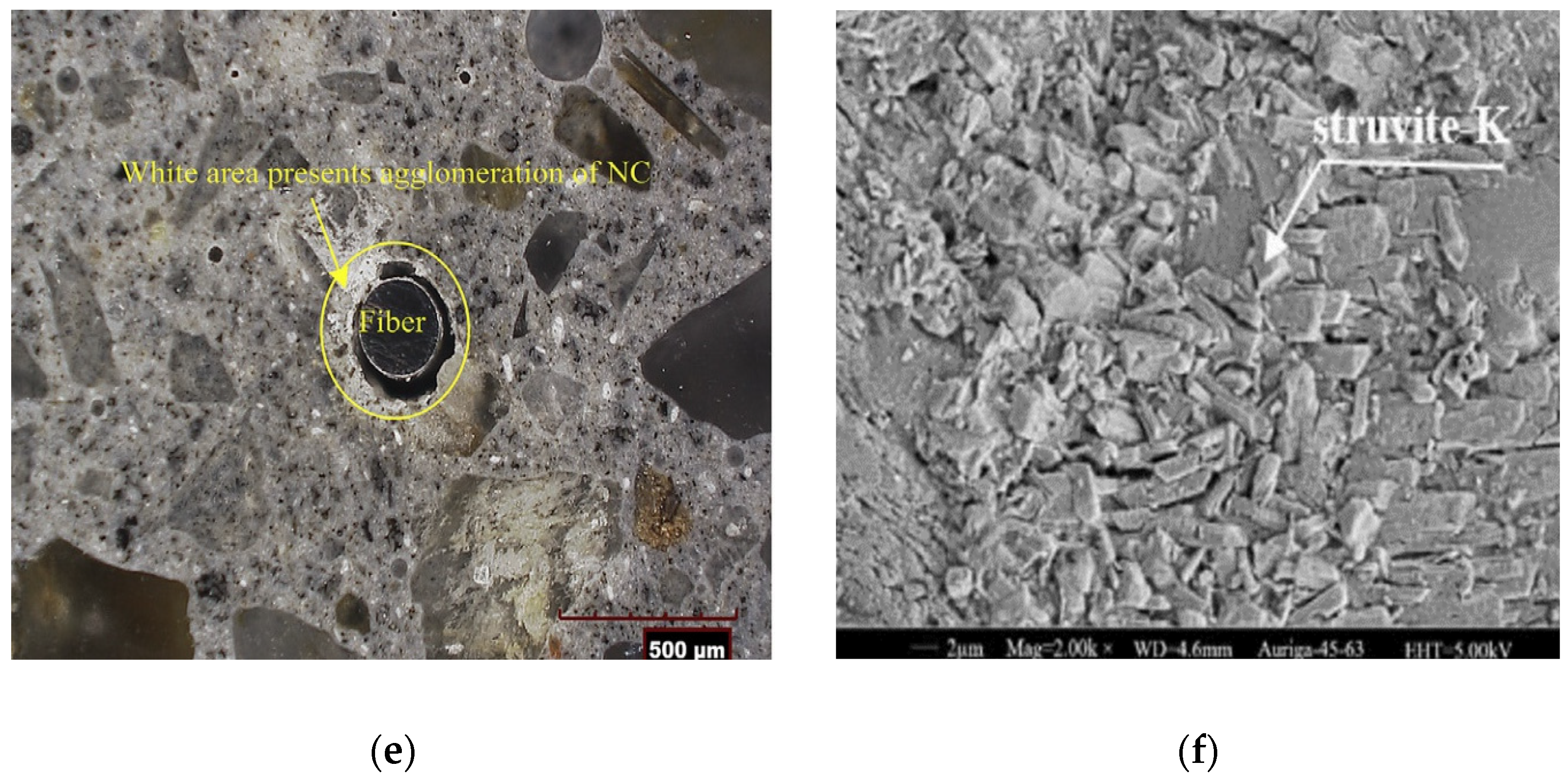 Sustainability 14 03464 g011b 550