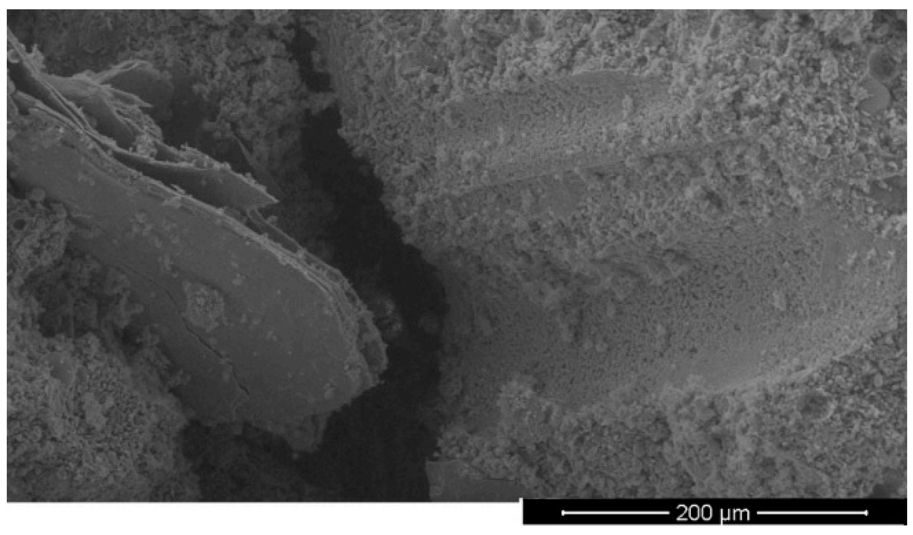 Sustainability 14 03464 g017 550