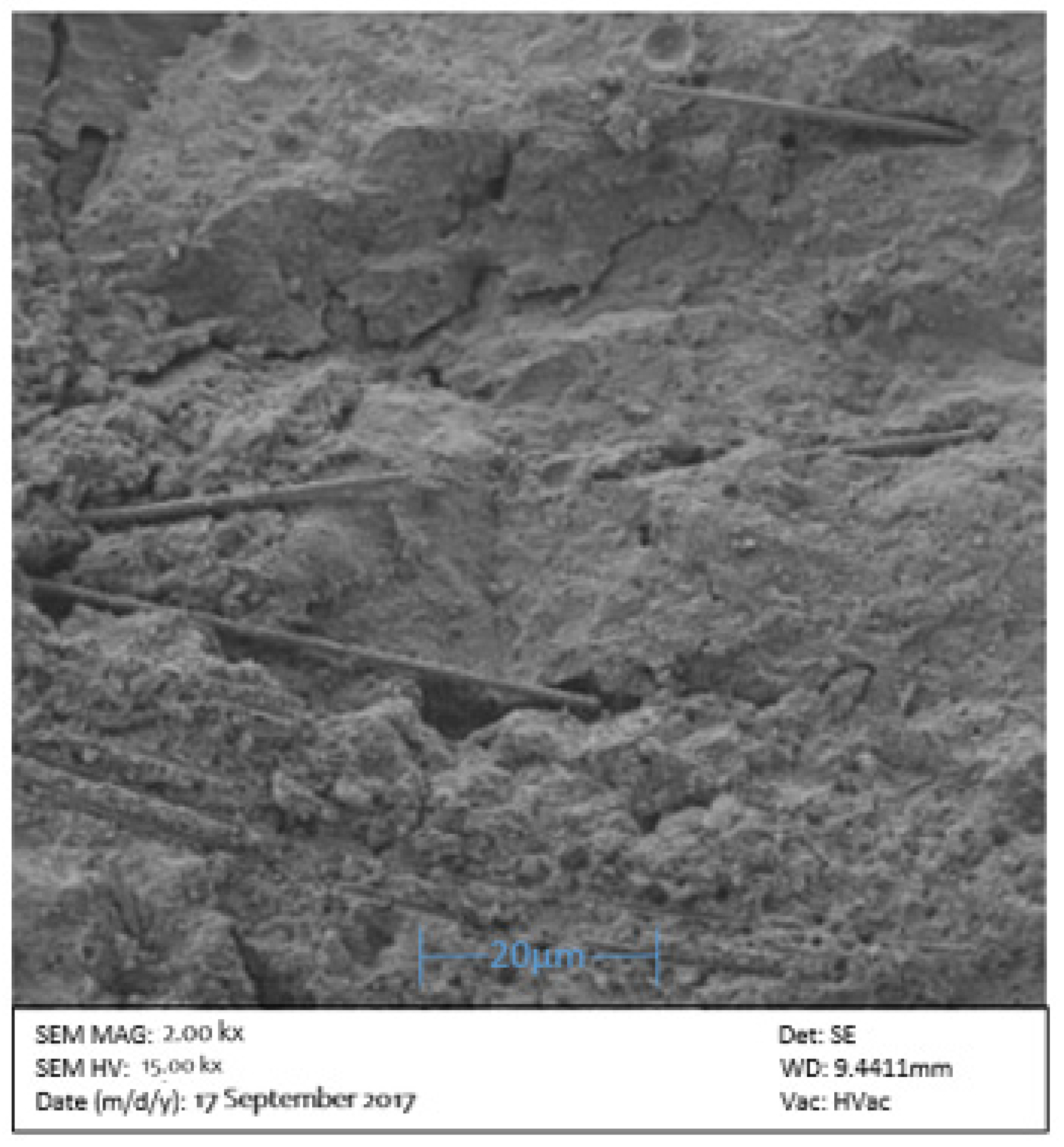 Sustainability 14 03464 g029 550