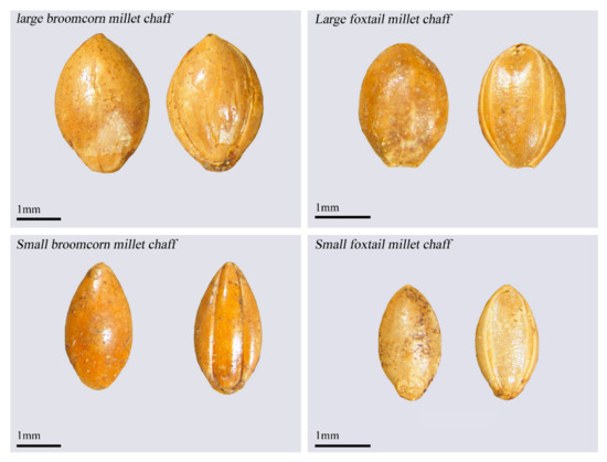 Evaluating Water Fertilizer Coupling on the Variations in