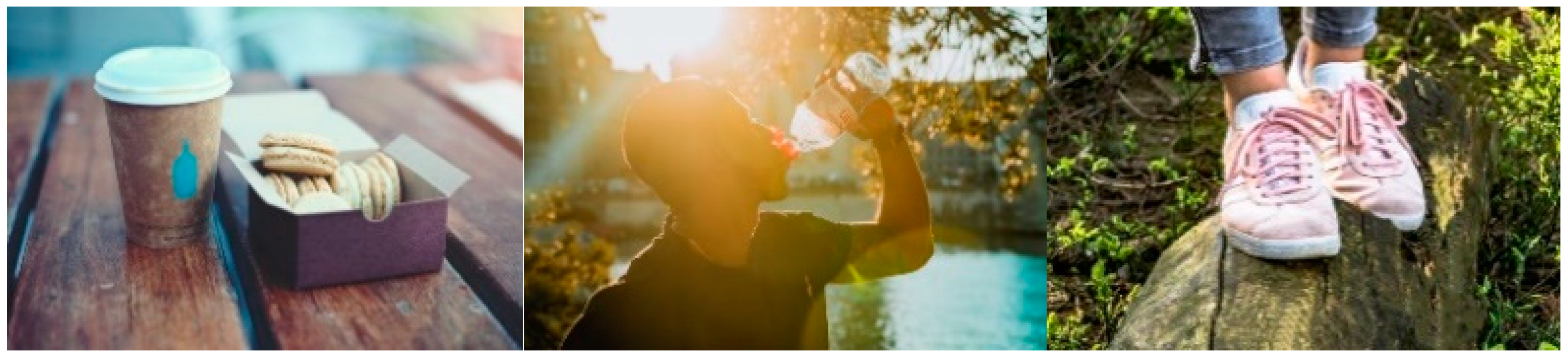 Sustainability 14 03665 g003 550