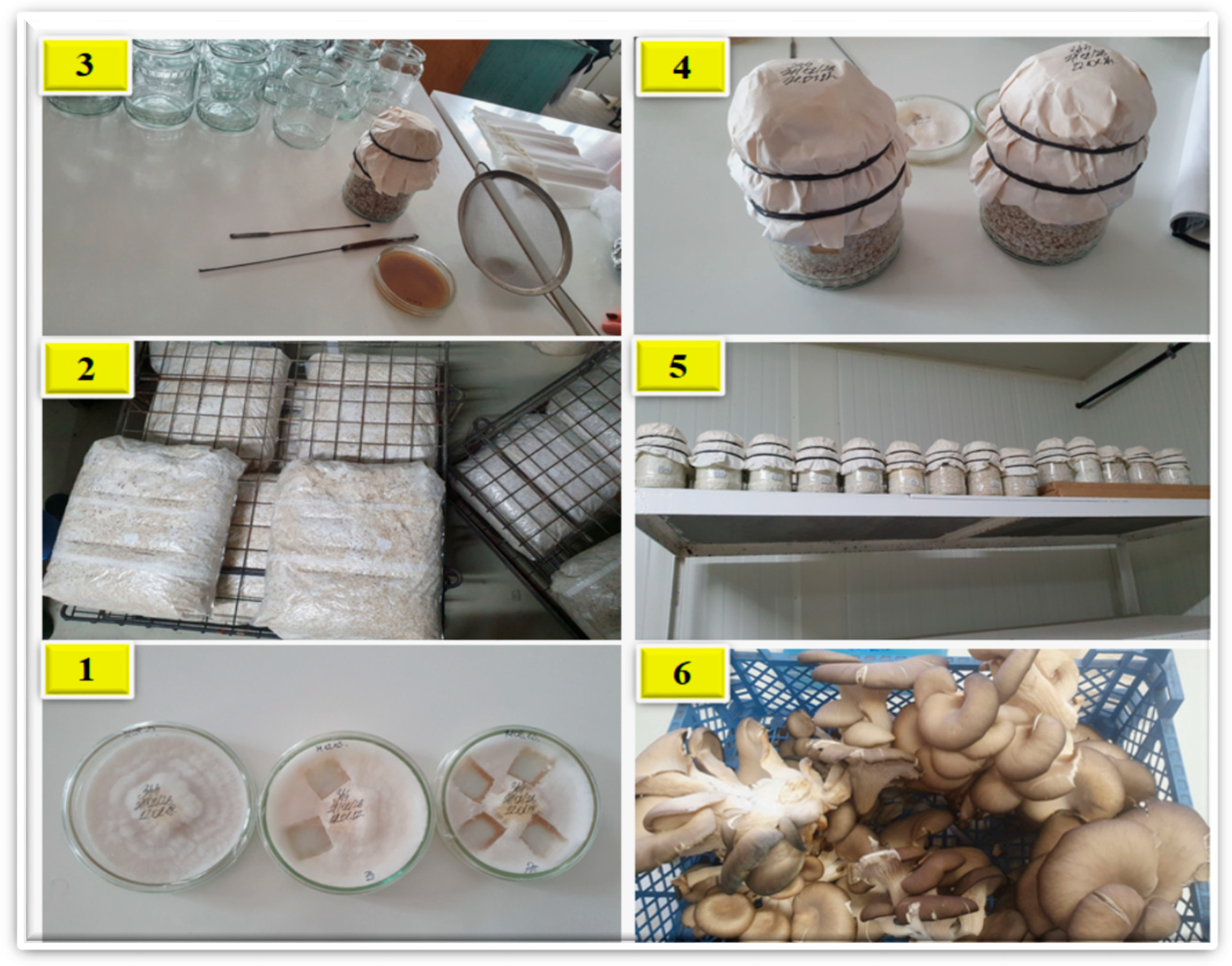 Sustainability 14 03667 g002 Sustainability 14 03667 g002