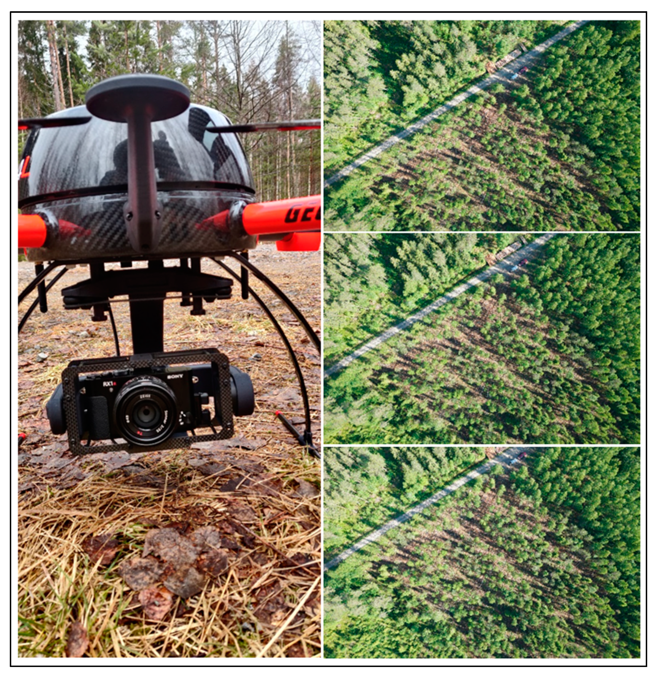 Sustainability 14 03720 g0a1 550