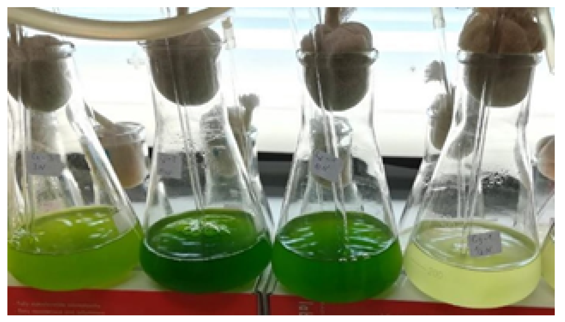 Sustainability 14 03801 g001