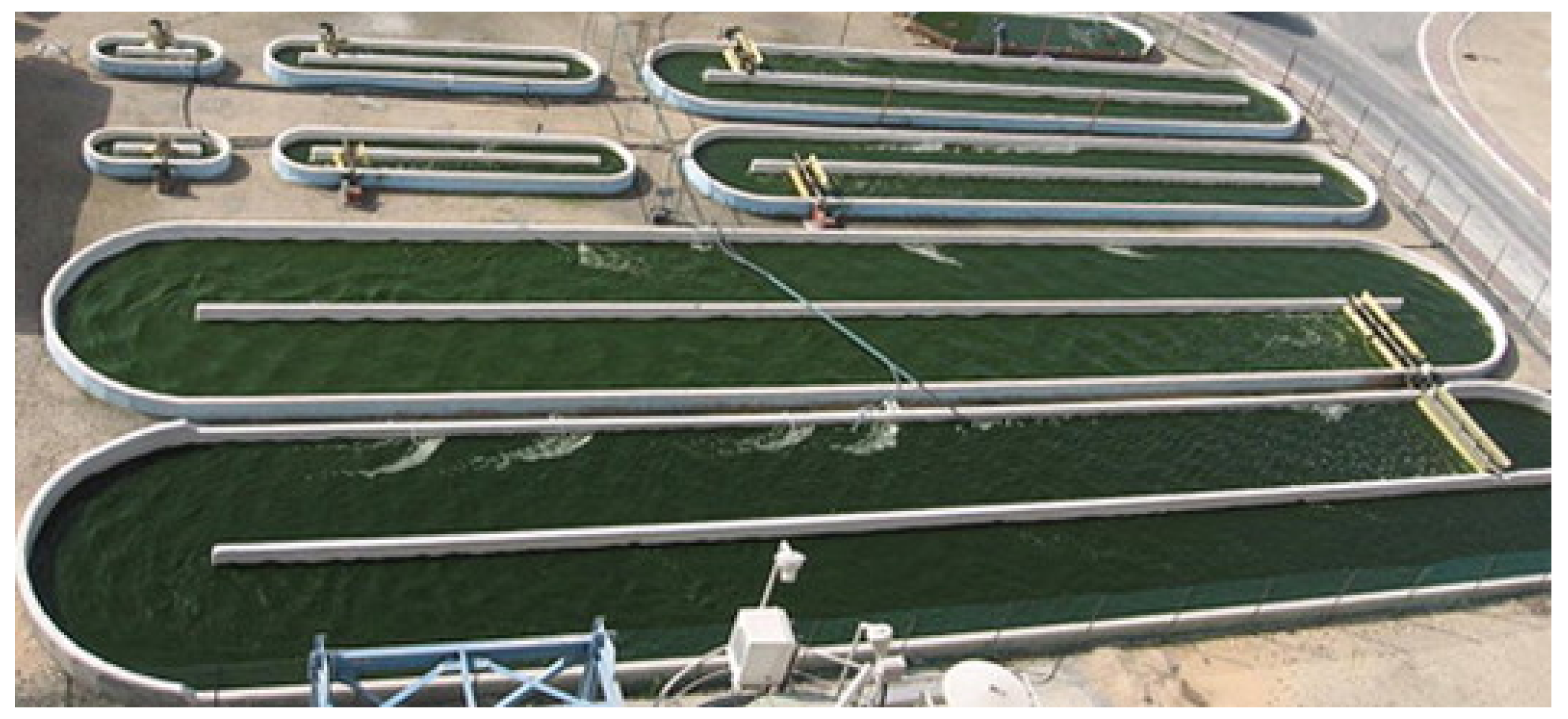 Sustainability 14 03801 g002