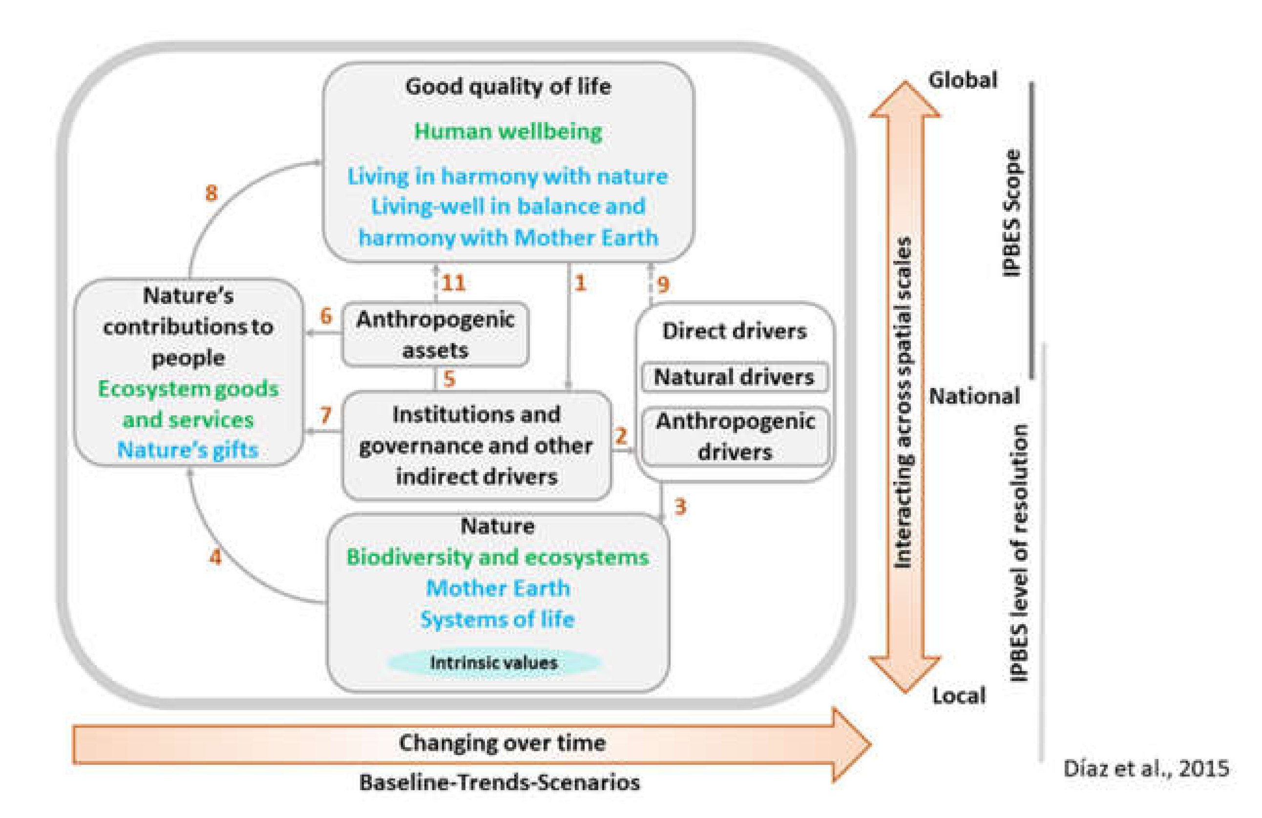 The Resilience Of Hard Assets: Diamonds