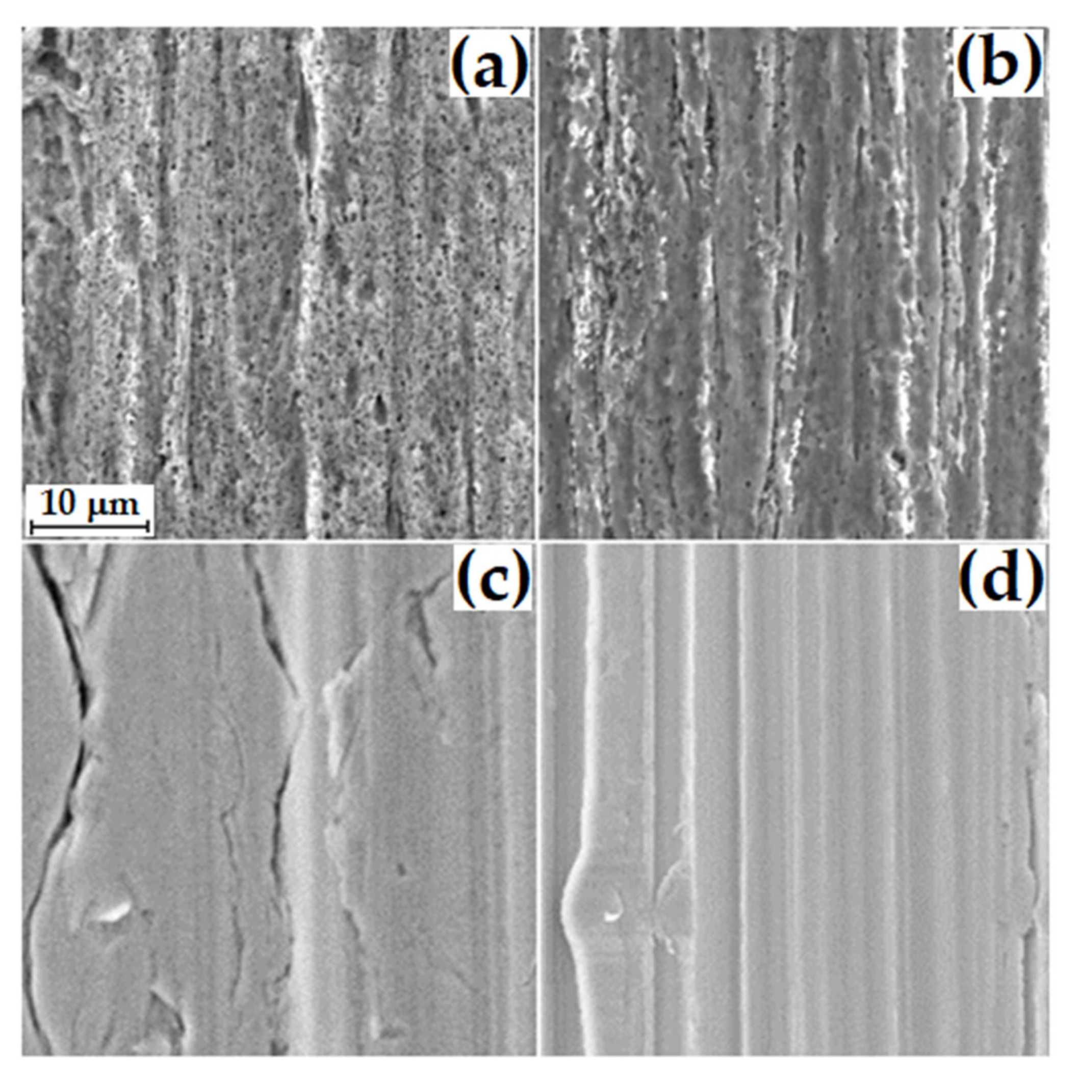 Sustainability 14 03858 g003