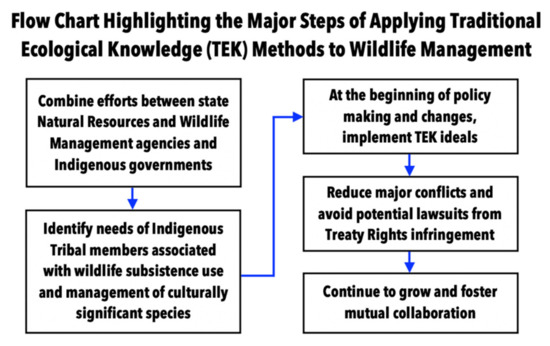 Tribal Civics: A Guide for Fostering Engagement - Native