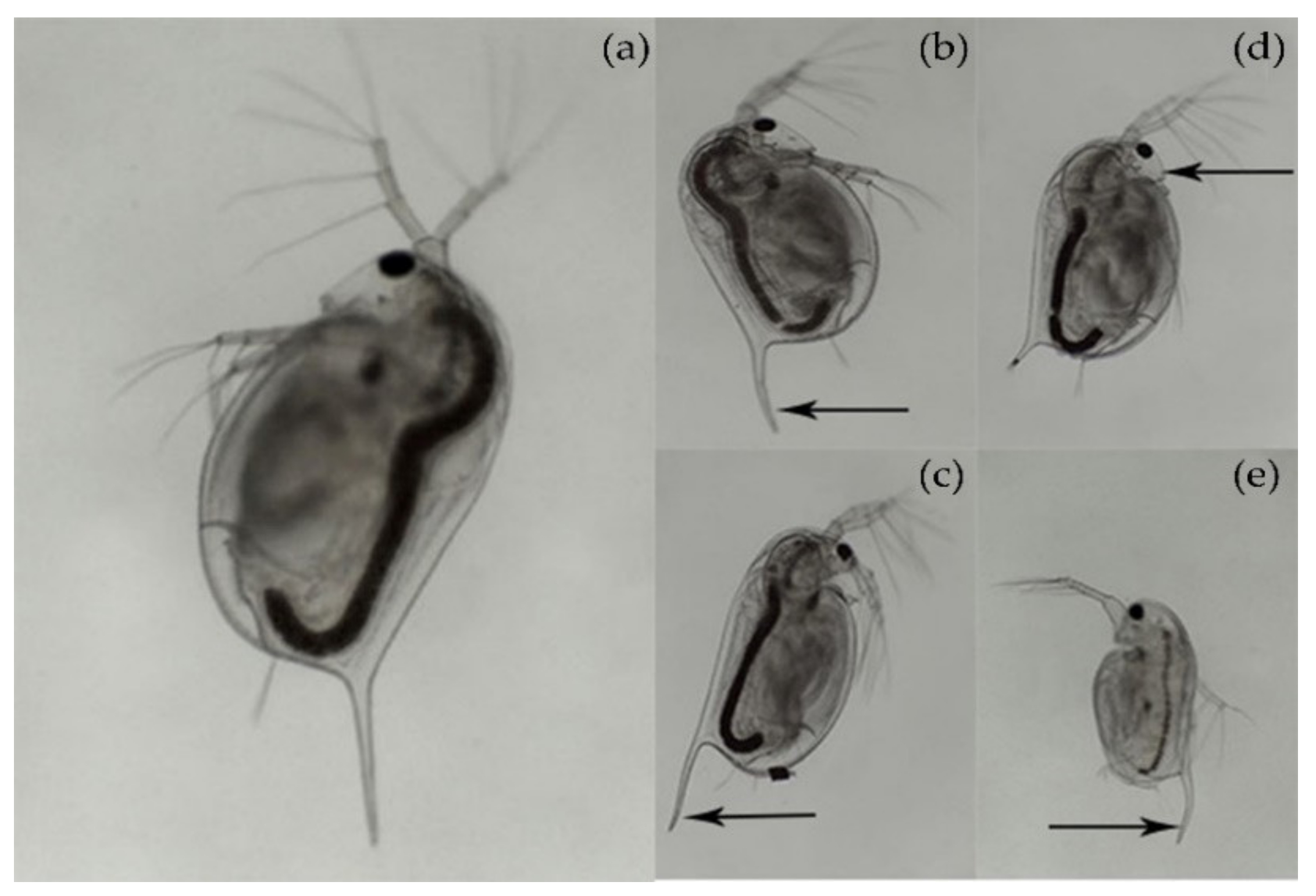 Sustainability 14 03869 g003 Sustainability 14 03869 g003