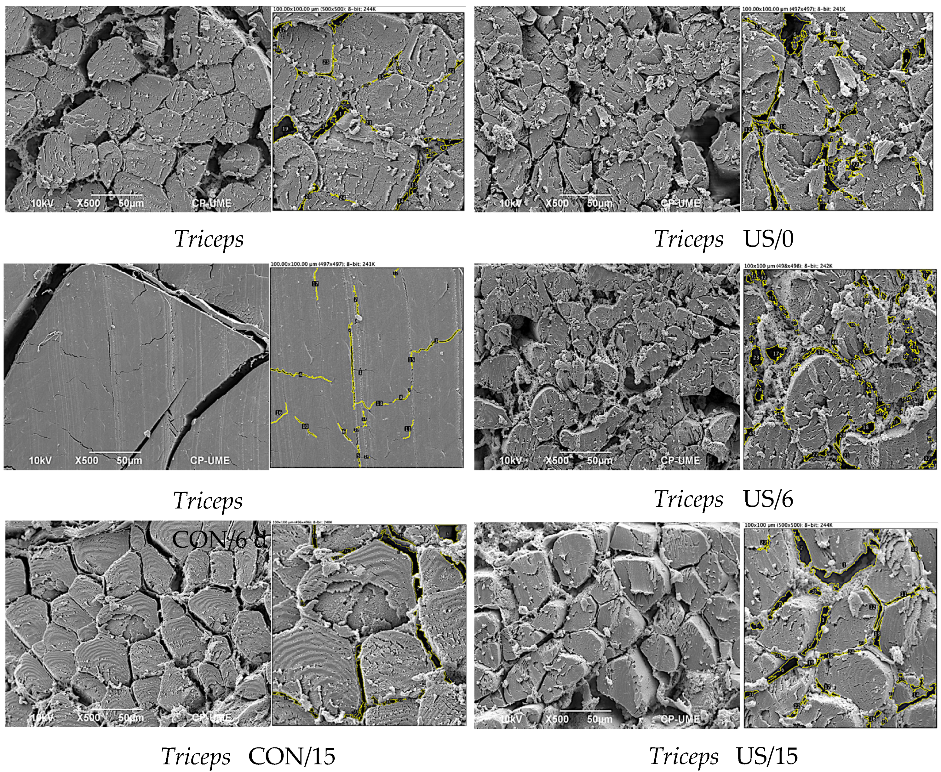 Sustainability 14 03886 g002 Sustainability 14 03886 g002