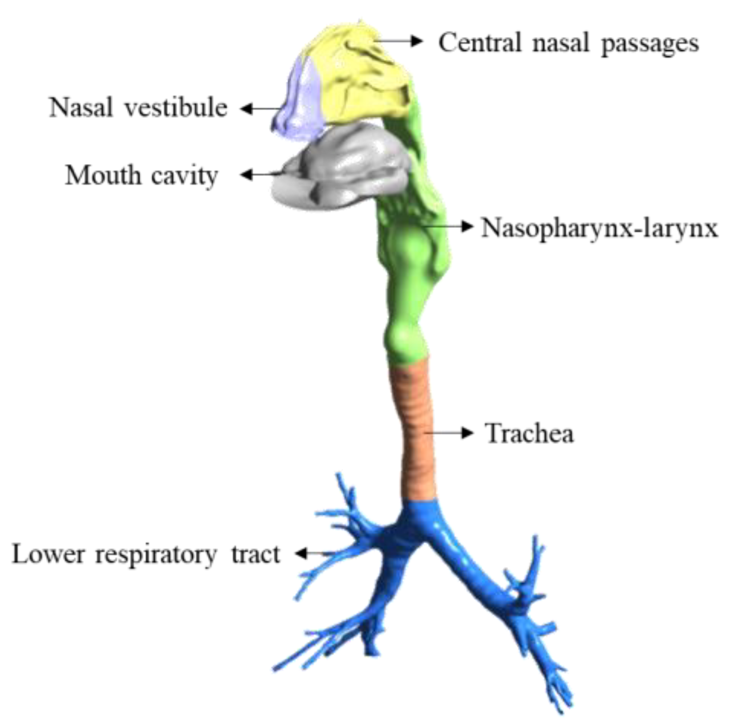 Sustainability 14 03896 g001