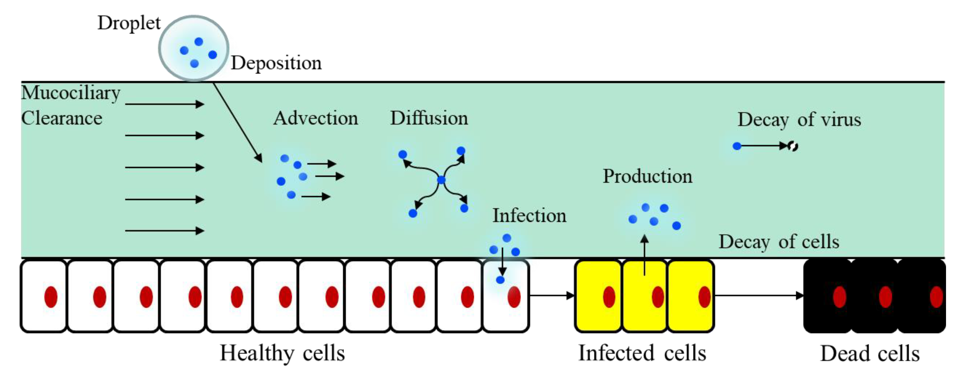 Sustainability 14 03896 g004