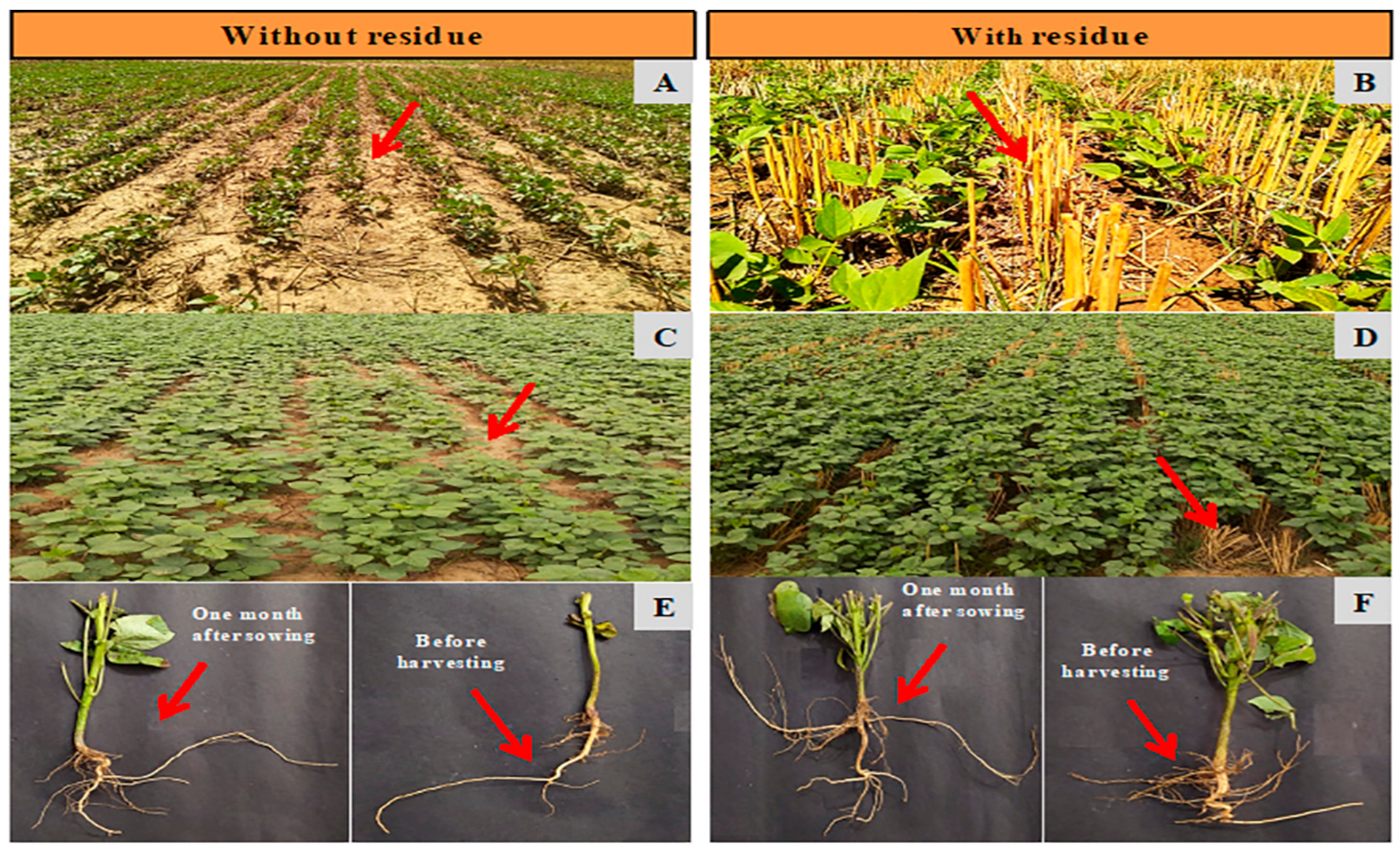 Sustainability 14 03901 g001