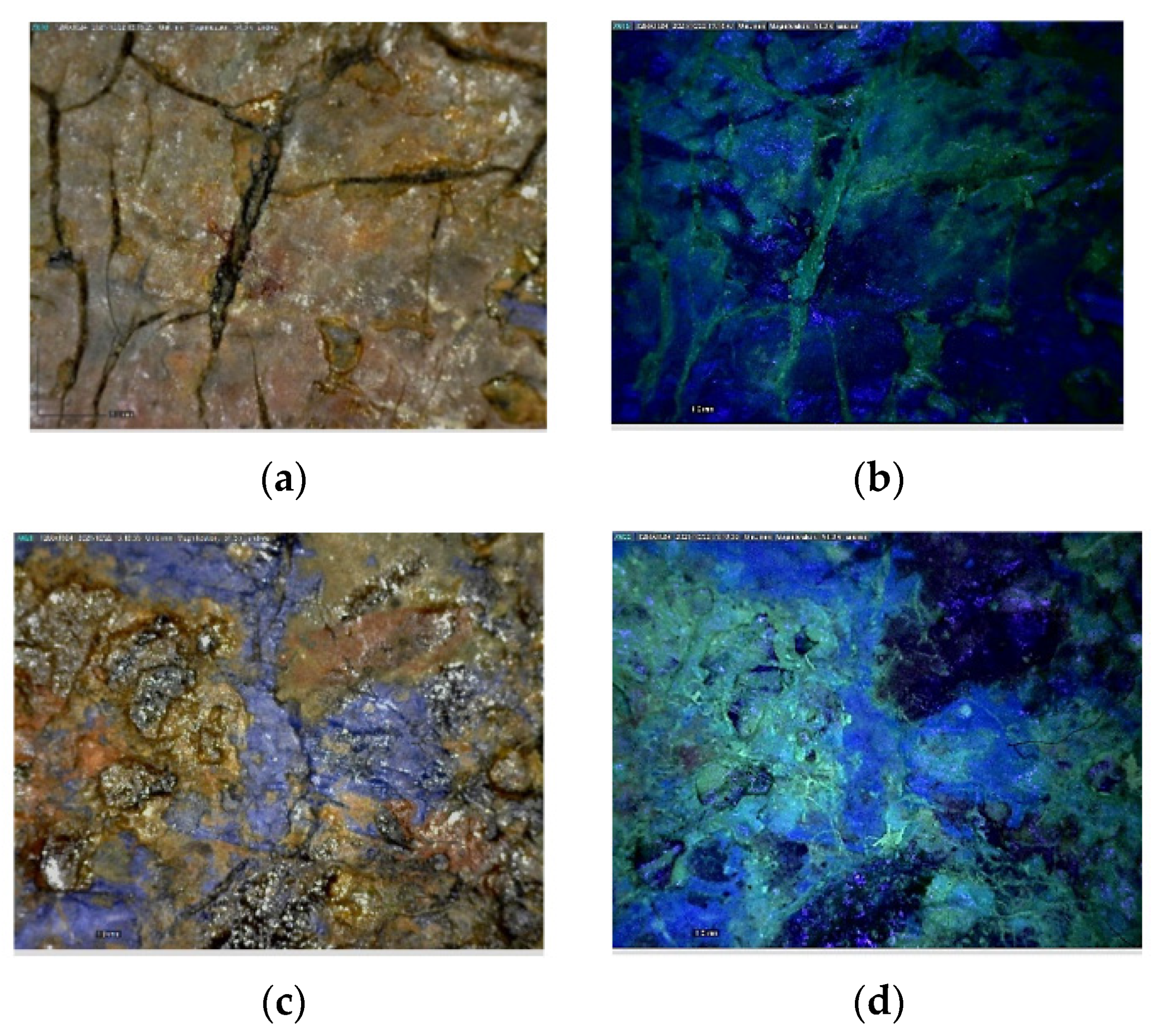 Sustainability 14 03972 g002 550