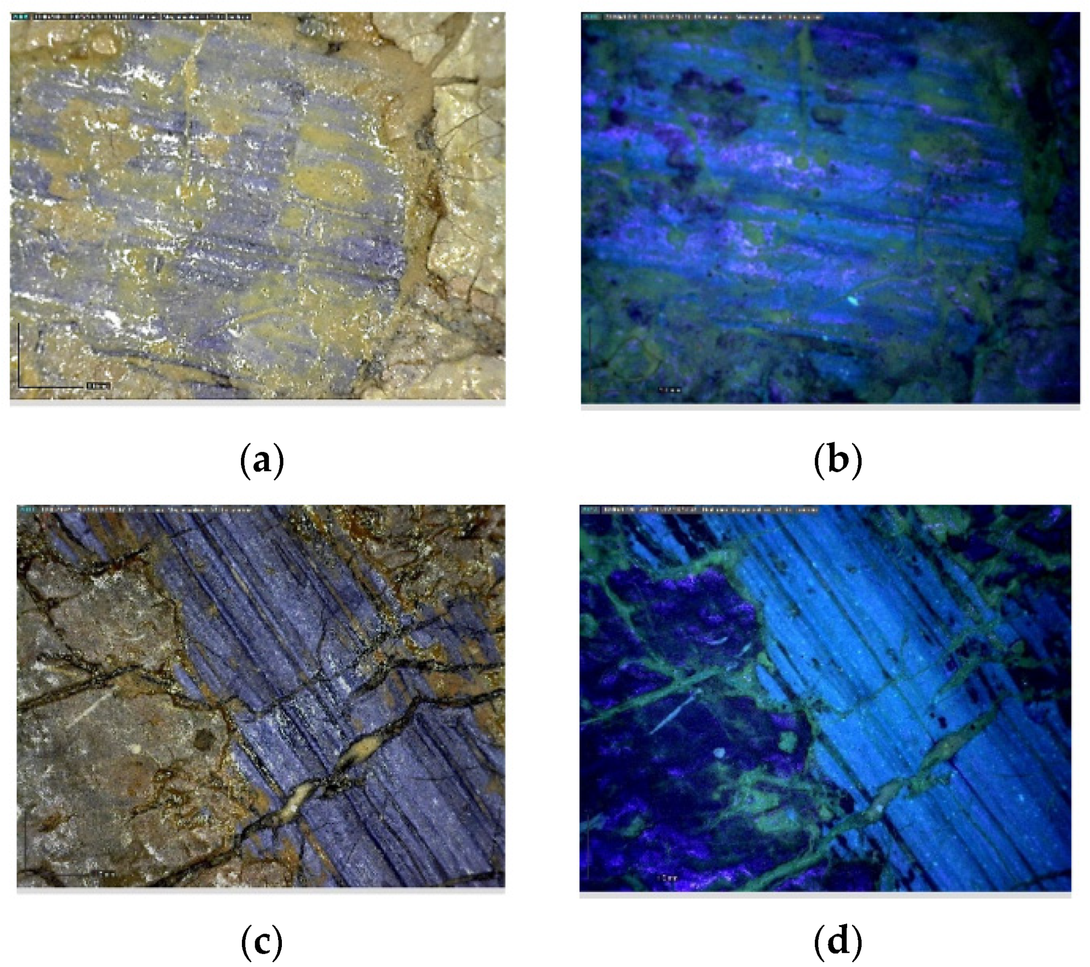 Sustainability 14 03972 g003 550