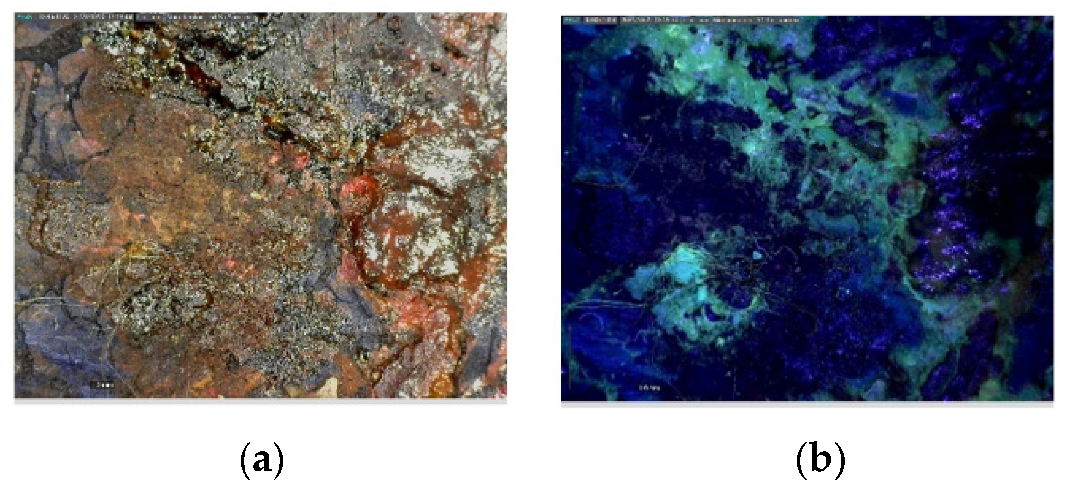 Sustainability 14 03972 g004a 550