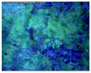 Sustainability 14 03972 i004