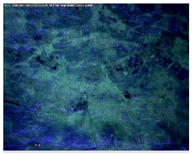 Sustainability 14 03972 i006