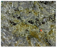 Sustainability 14 03972 i007