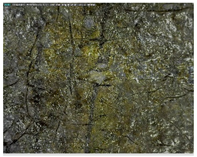 Sustainability 14 03972 i009