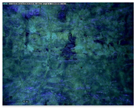 Sustainability 14 03972 i010