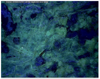 Sustainability 14 03972 i014