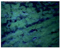 Sustainability 14 03972 i018