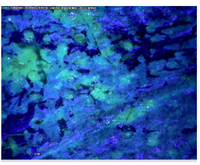 Sustainability 14 03972 i020