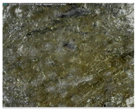 Sustainability 14 03972 i021