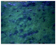 Sustainability 14 03972 i022