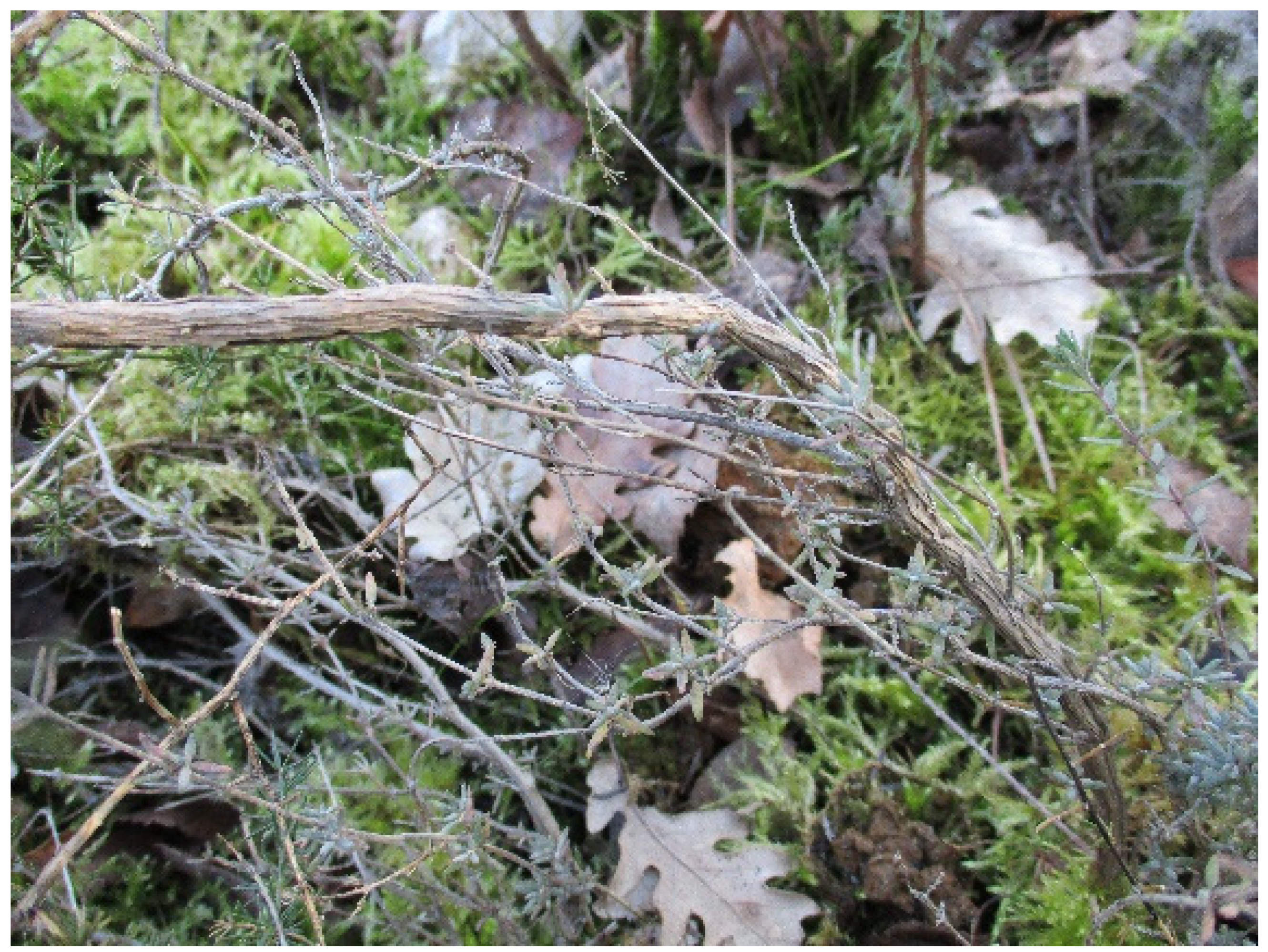 Sustainability 14 03981 g004 Sustainability 14 03981 g004