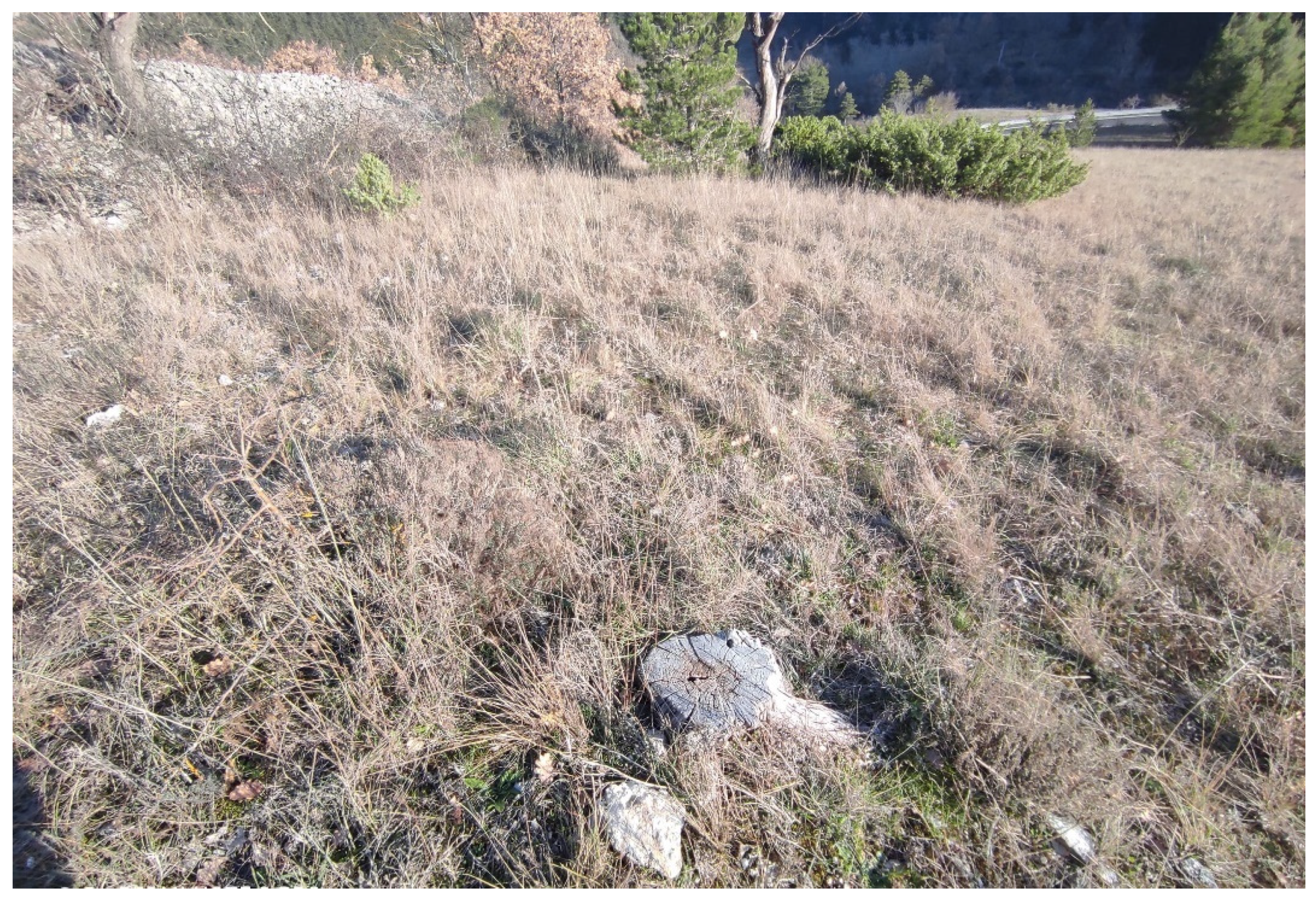 Sustainability 14 03981 g007 Sustainability 14 03981 g007