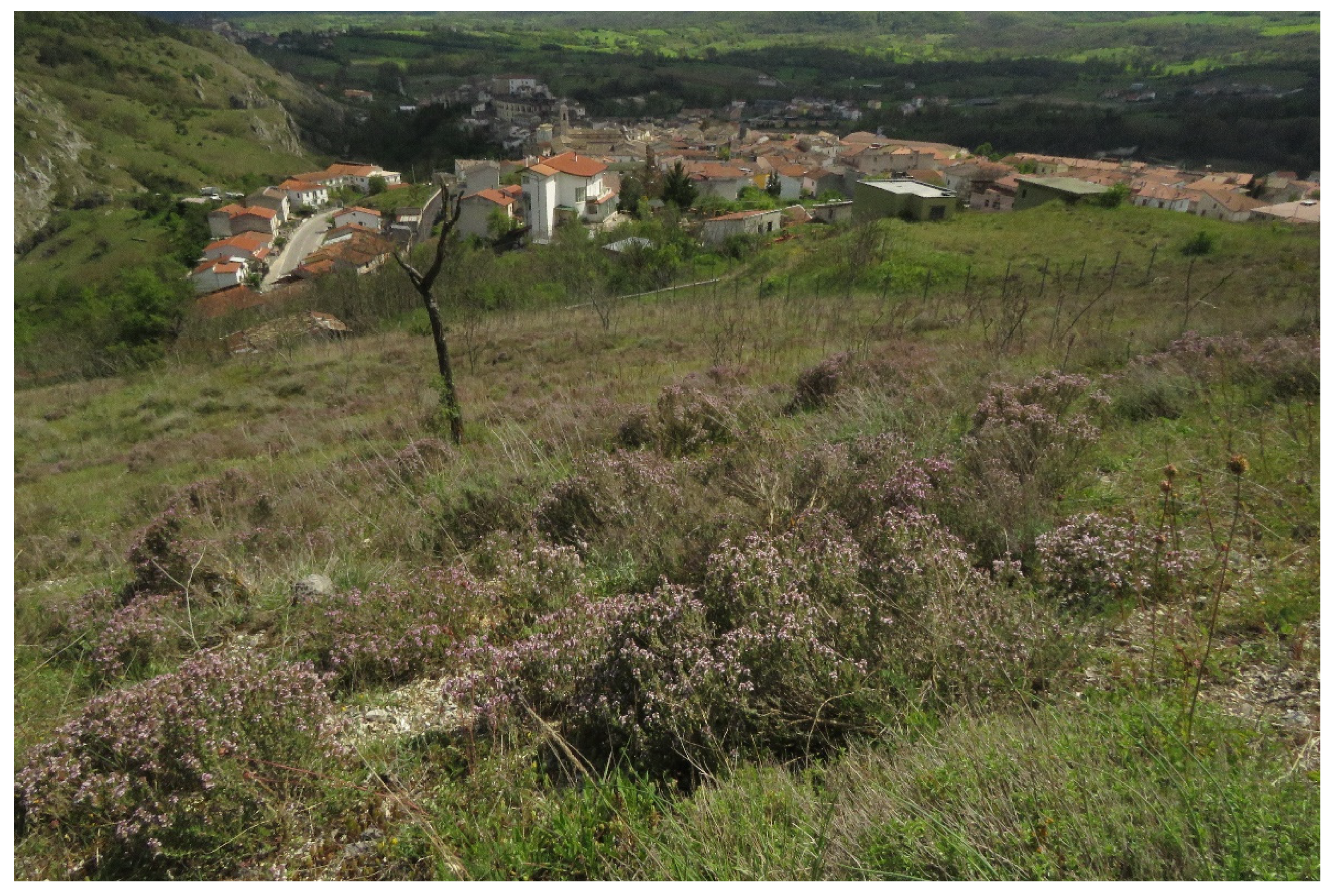 Sustainability 14 03981 g008 Sustainability 14 03981 g008