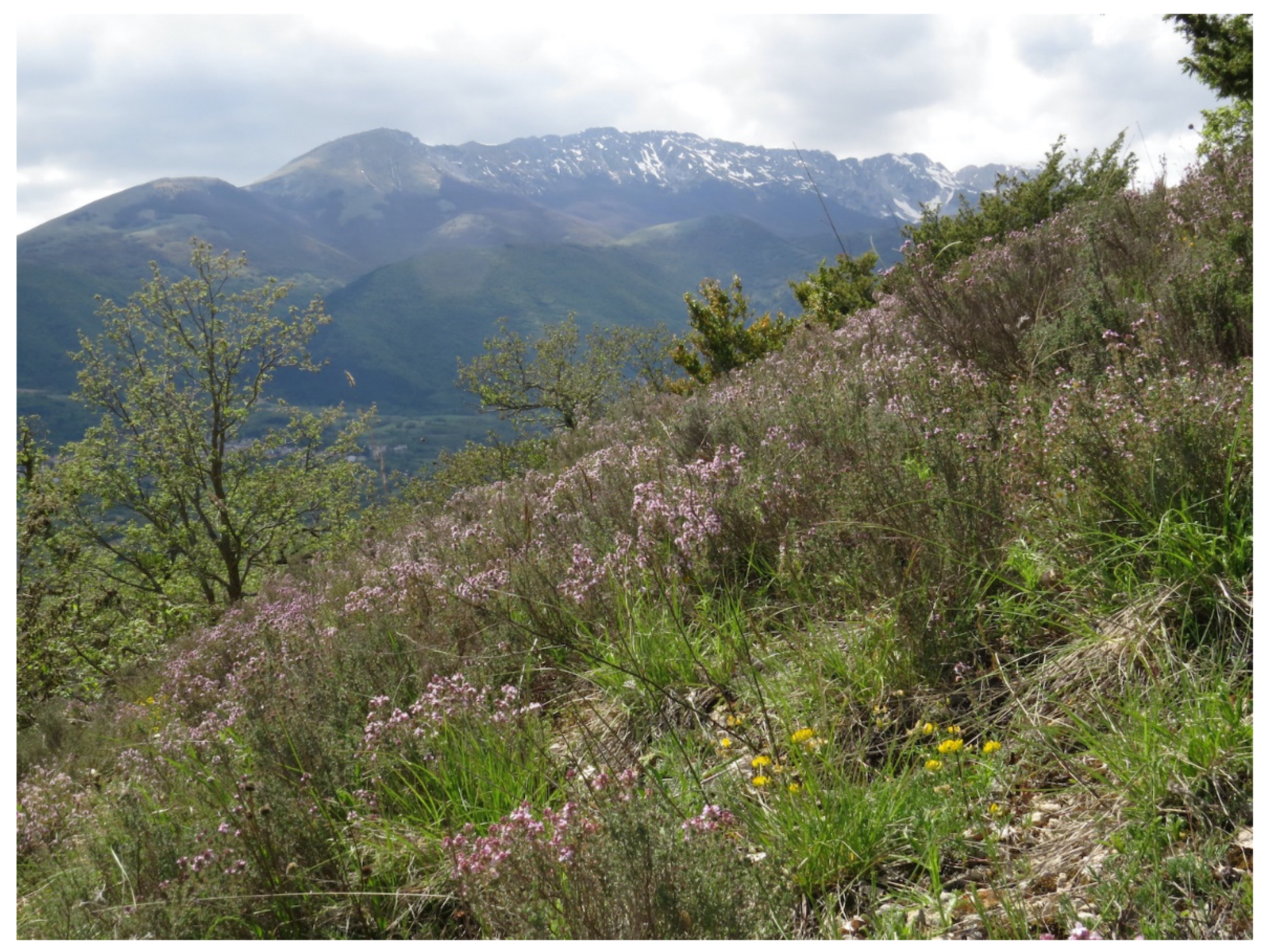 Sustainability 14 03981 g009 Sustainability 14 03981 g009