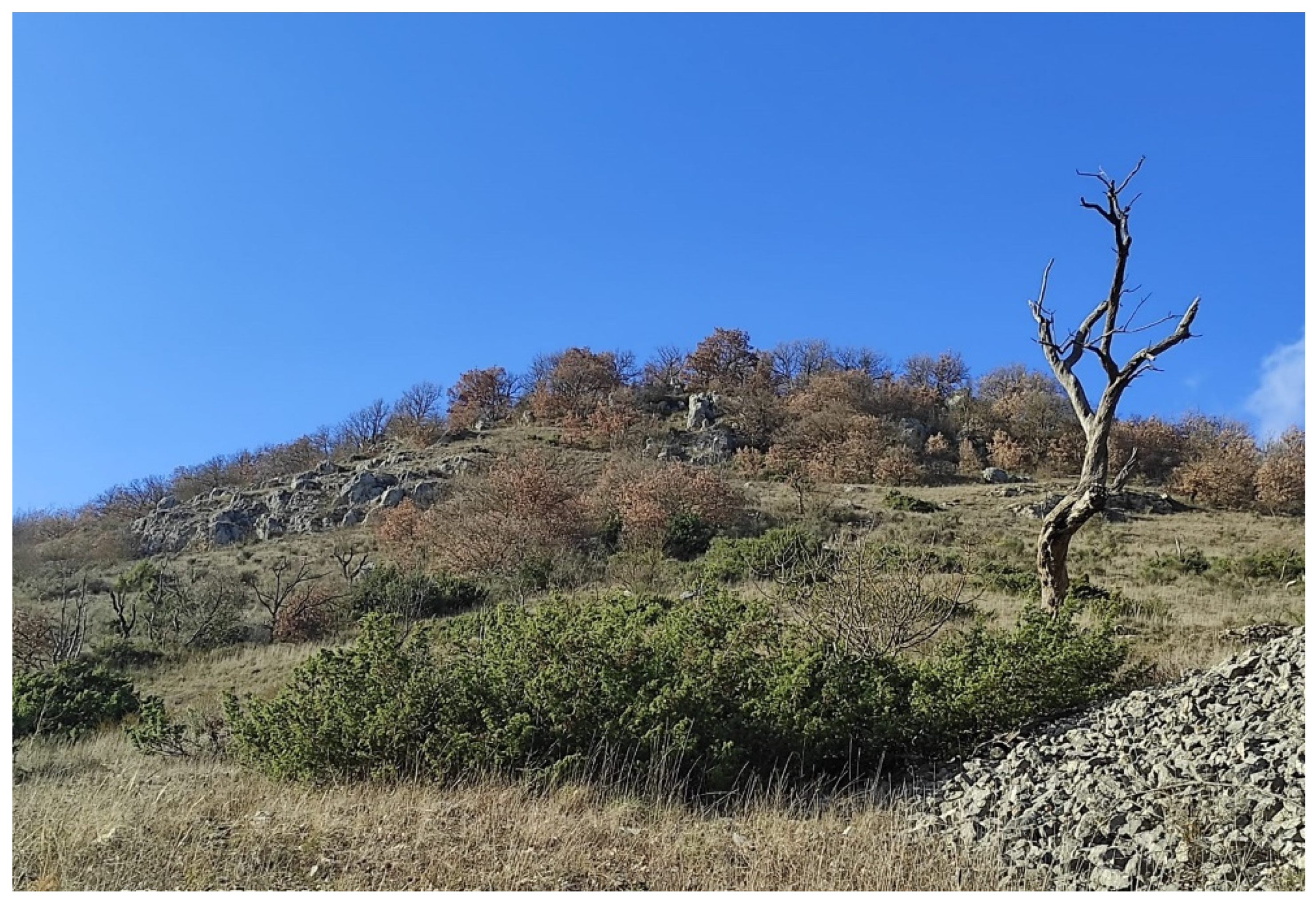 Sustainability 14 03981 g011 Sustainability 14 03981 g011