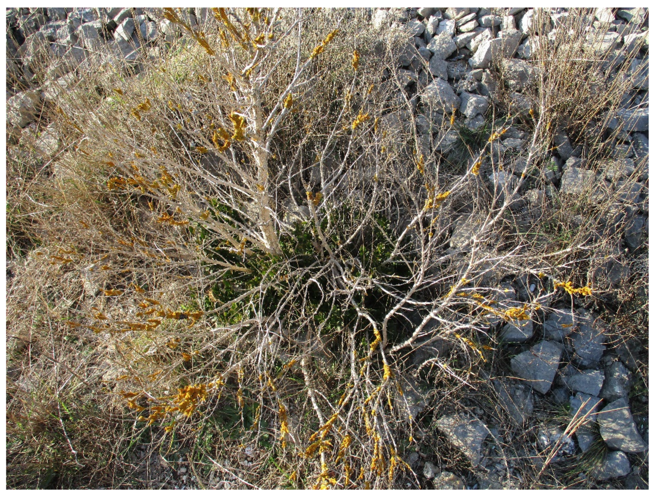 Sustainability 14 03981 g014 Sustainability 14 03981 g014