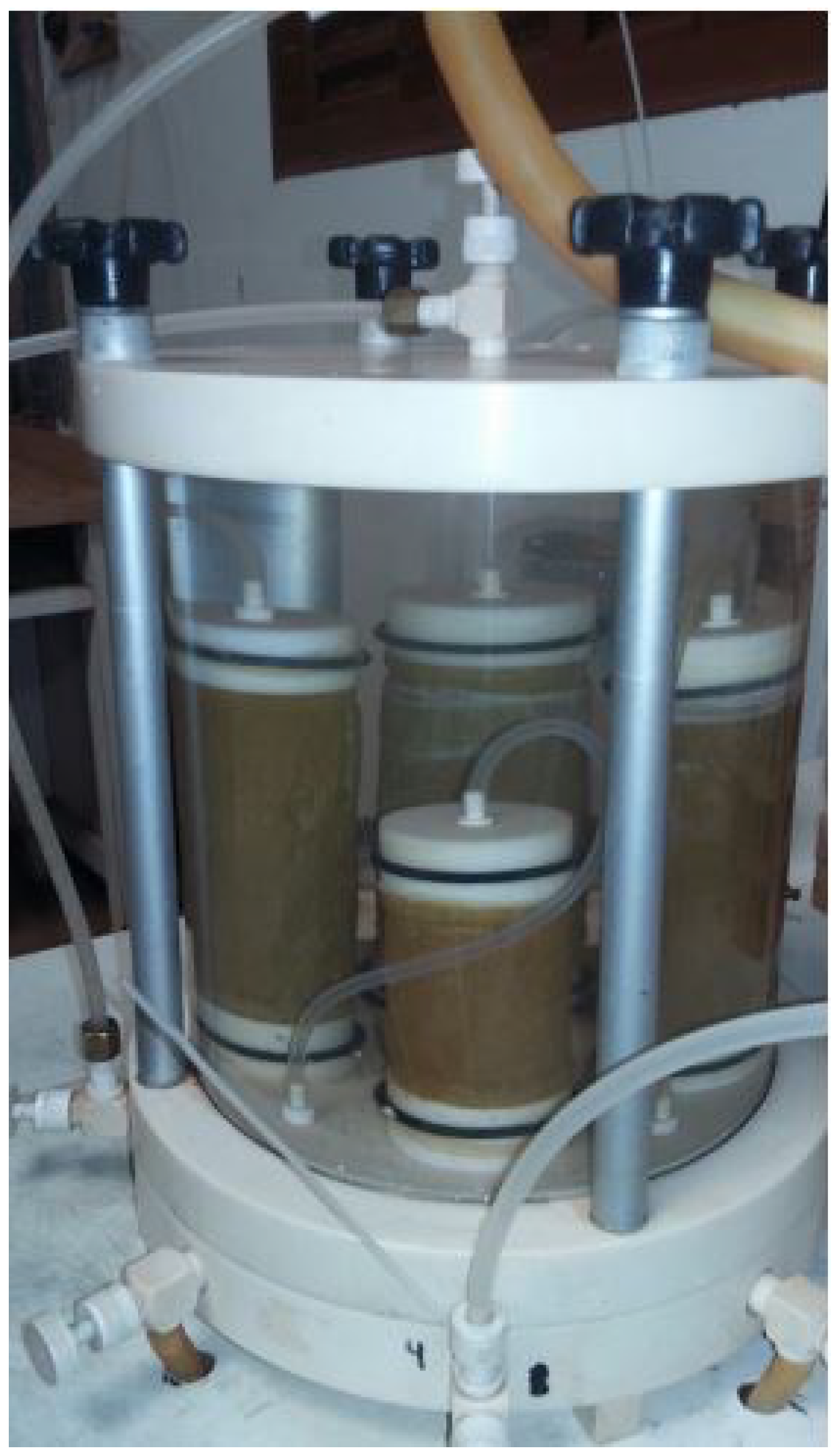 Sustainability 14 04024 g007