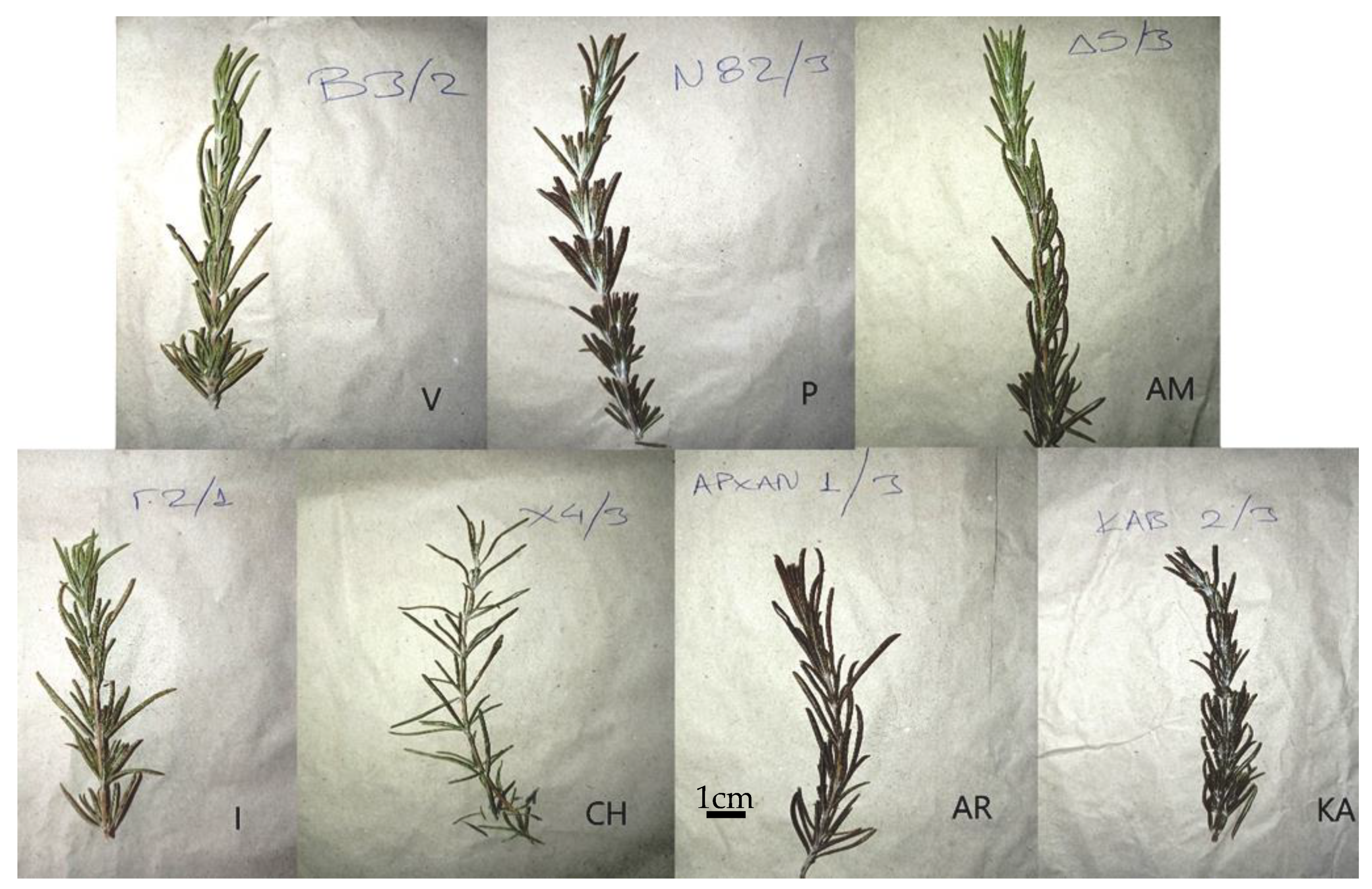 Sustainability 14 04059 g002 Sustainability 14 04059 g002