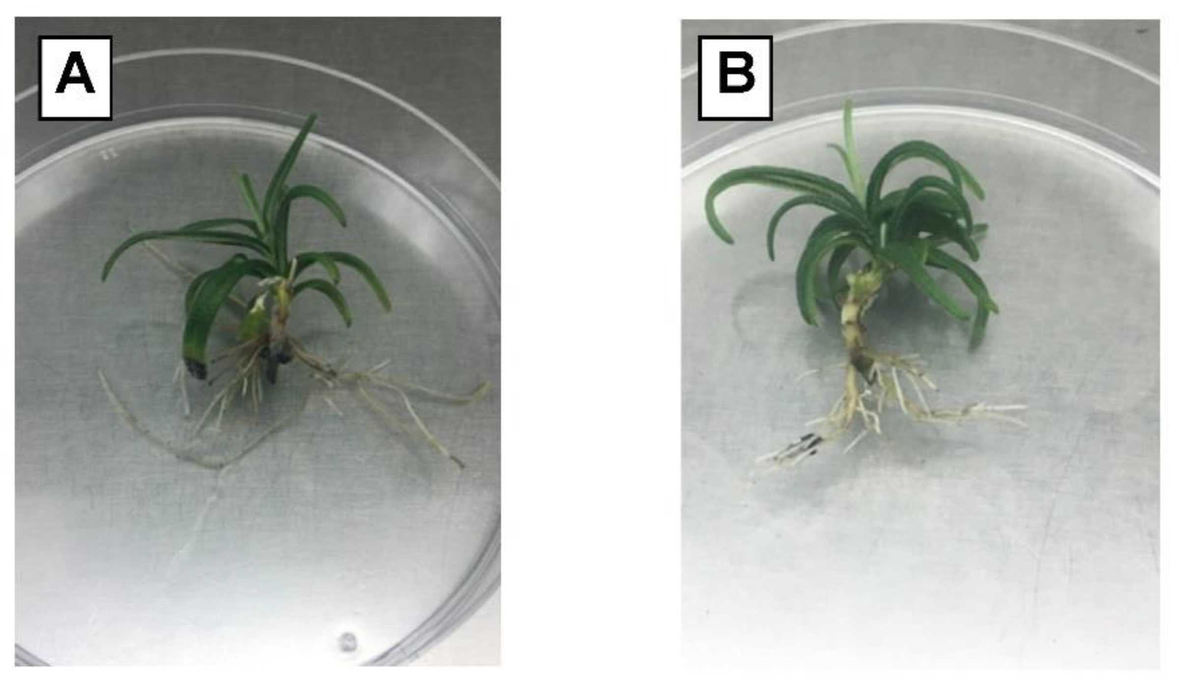 Sustainability 14 04059 g008 Sustainability 14 04059 g008