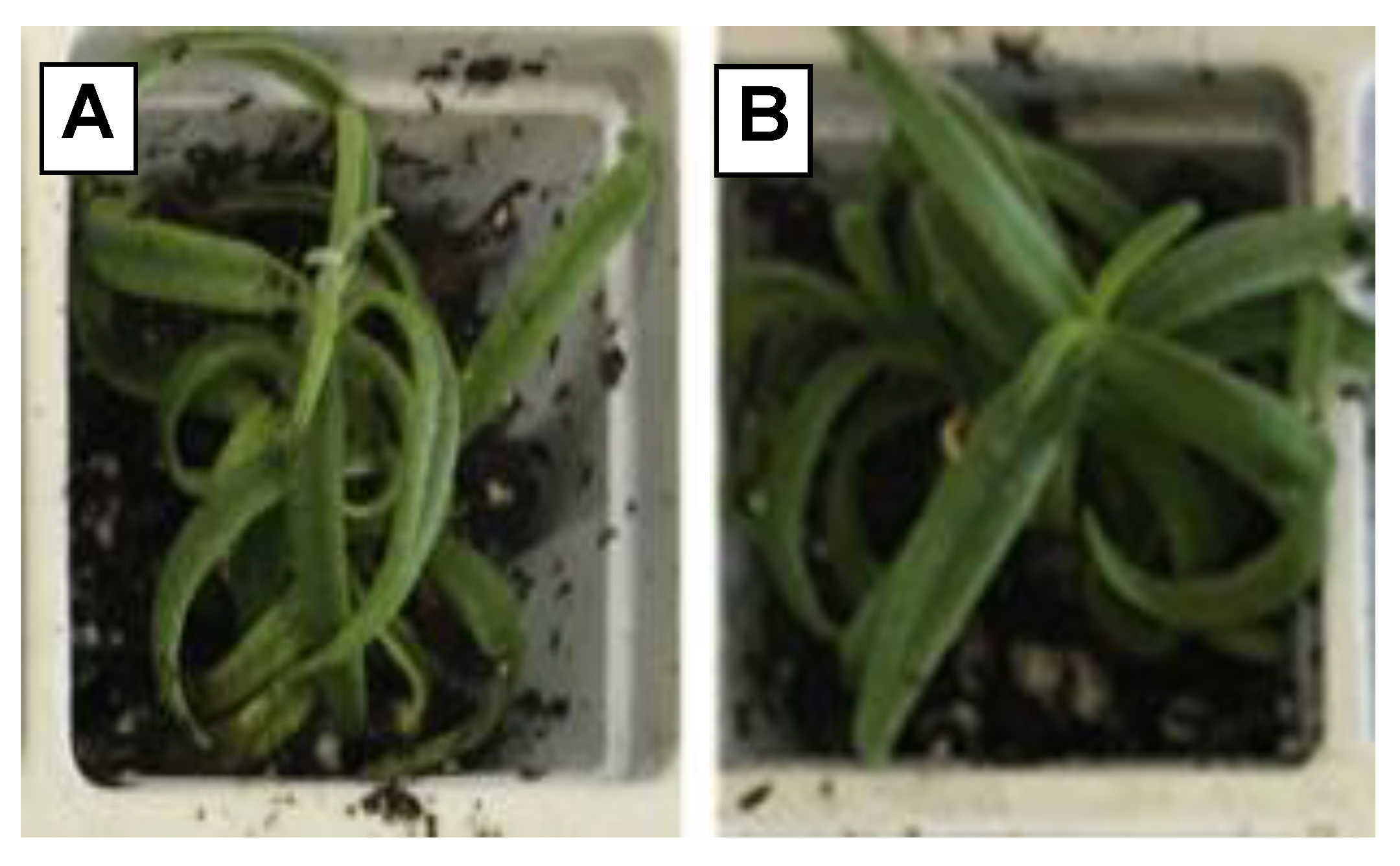 Sustainability 14 04059 g009 Sustainability 14 04059 g009