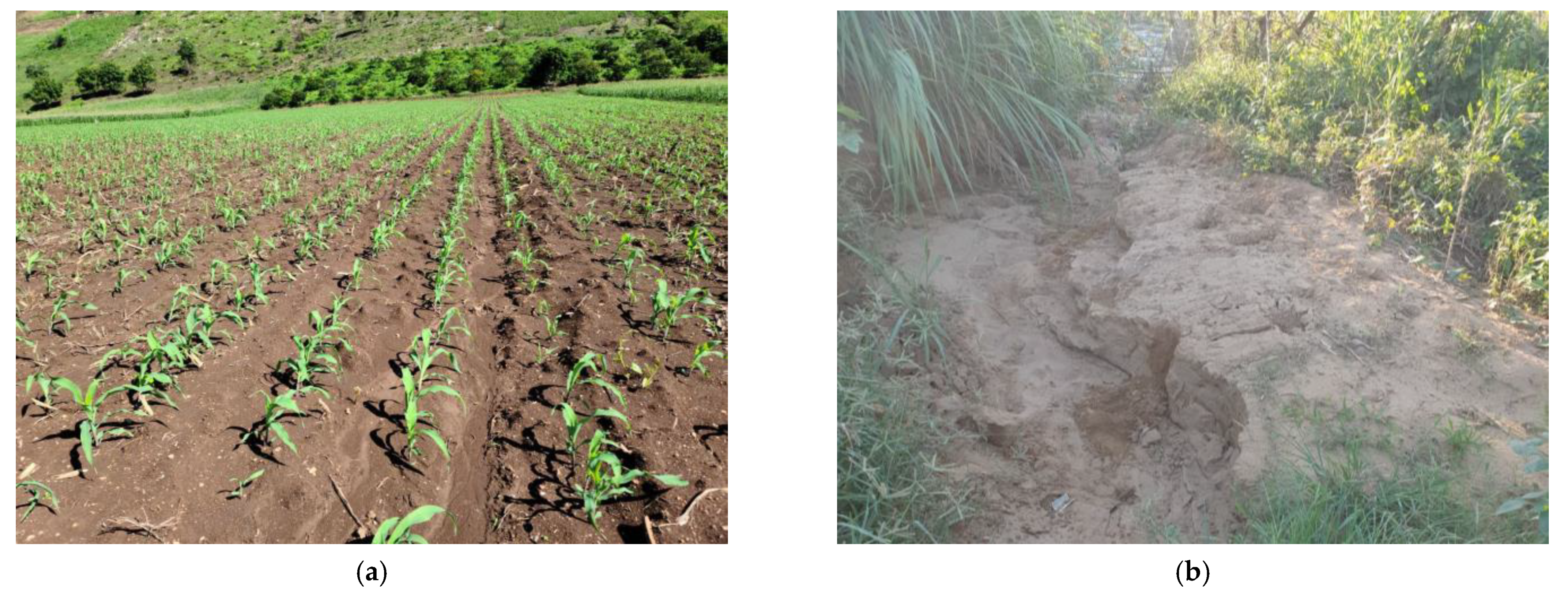 Sustainability 14 04066 g012 550