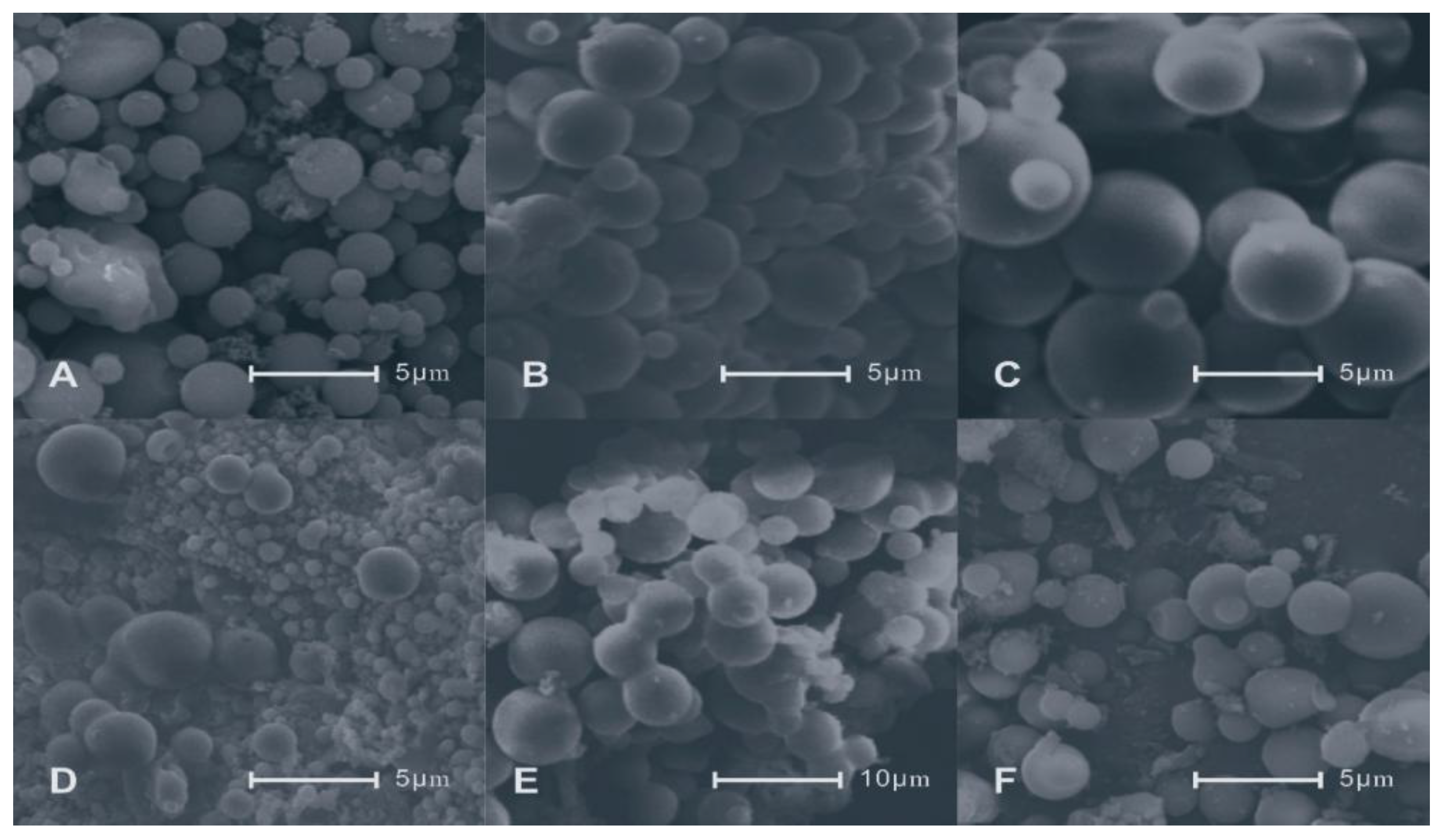 Sustainability 14 04082 g001