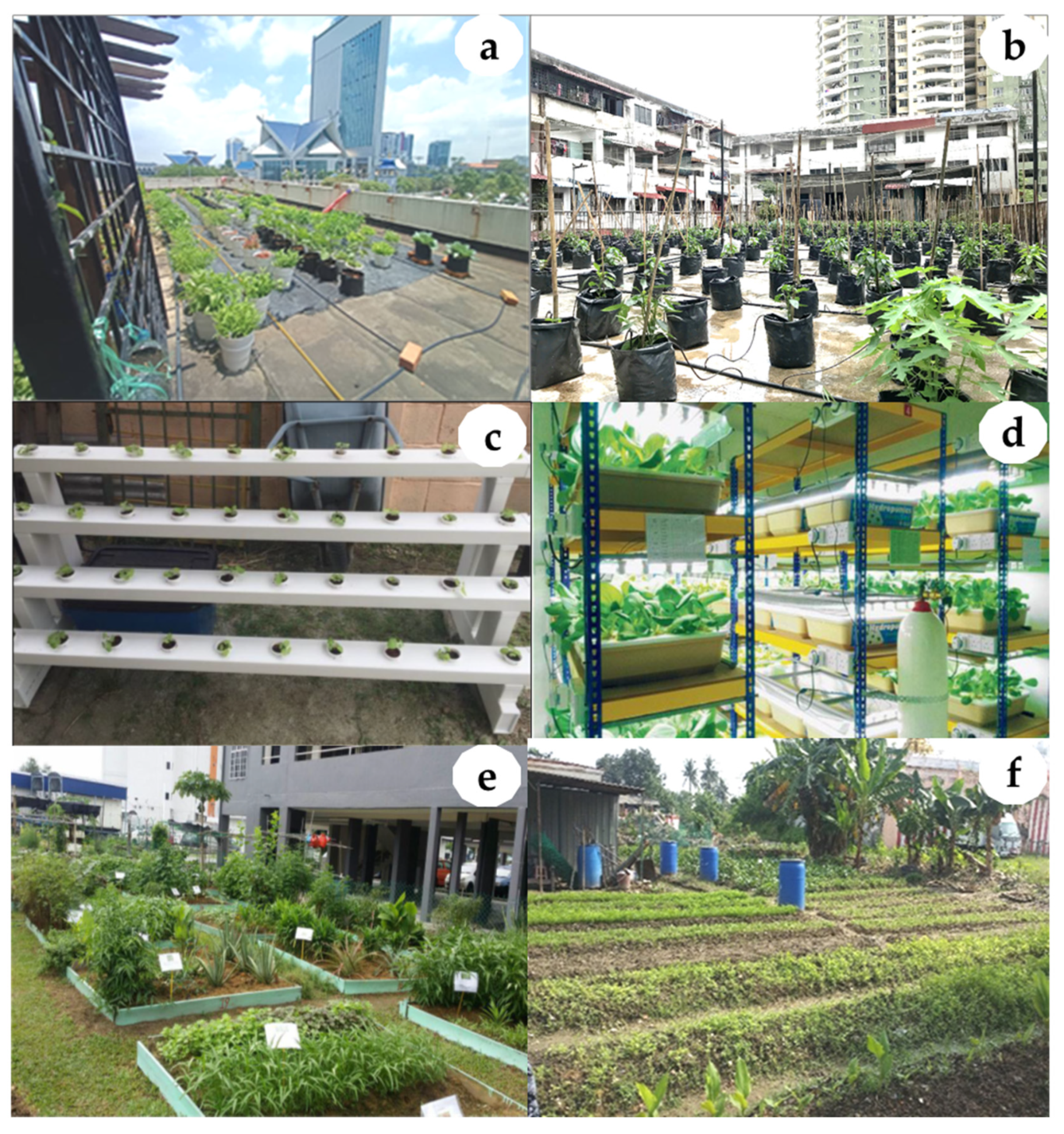 Sustainability 14 04155 g006