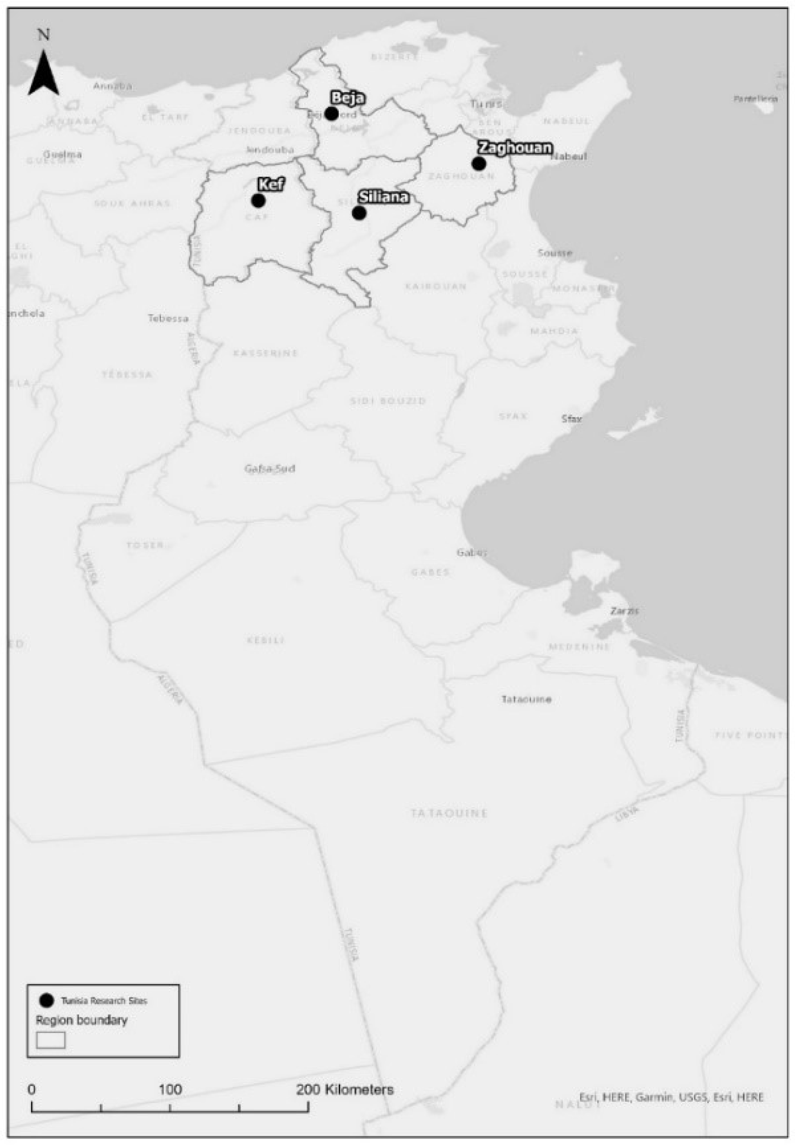 Sustainability 14 04162 g001 550