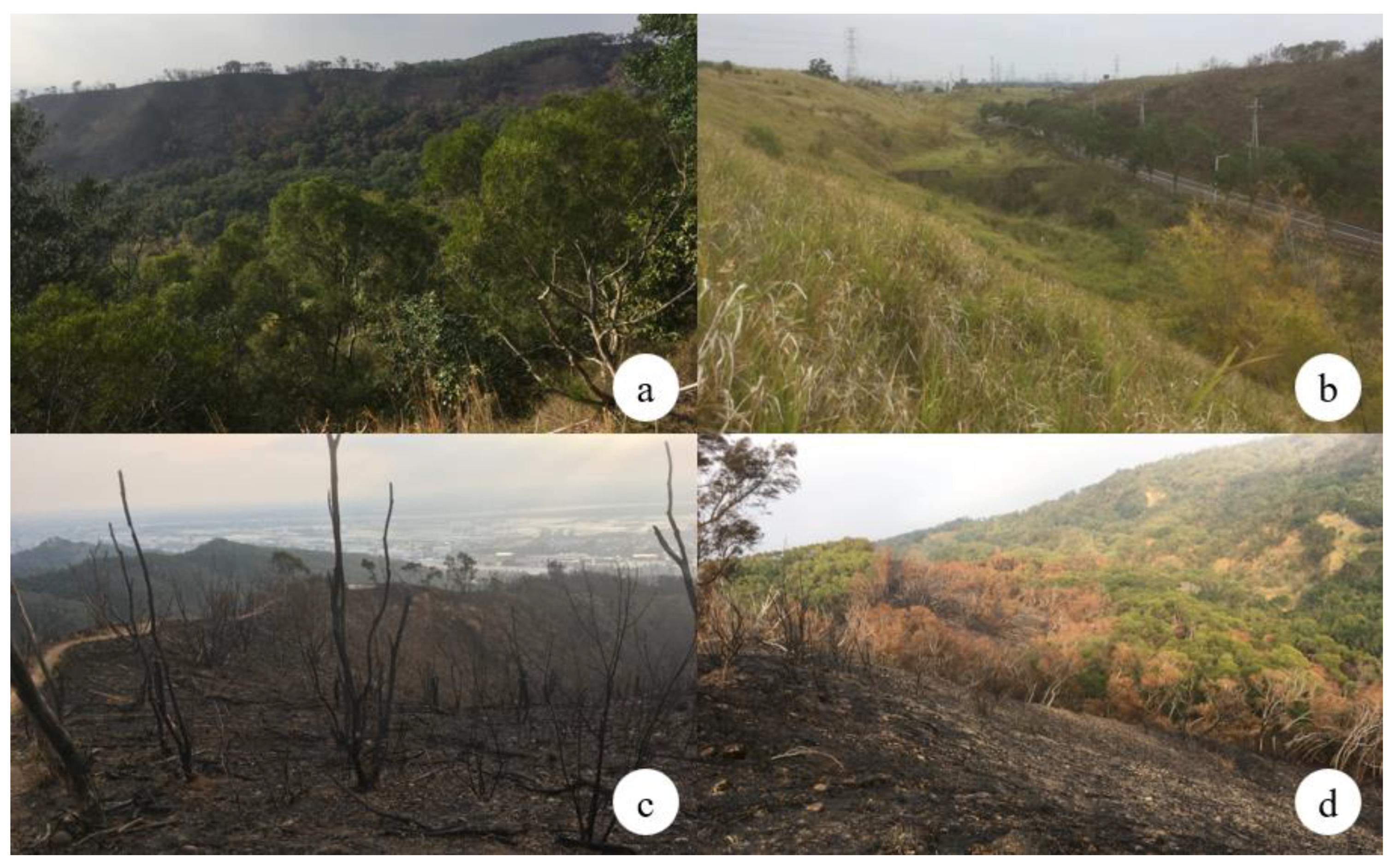 Sustainability 14 04178 g001 550