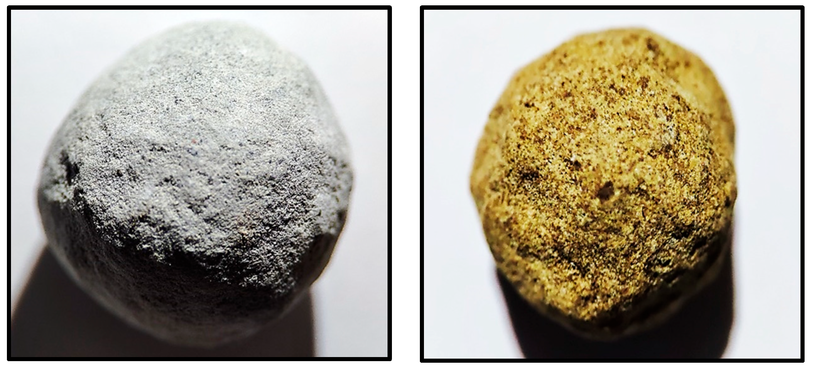 Sustainability 14 04205 g004