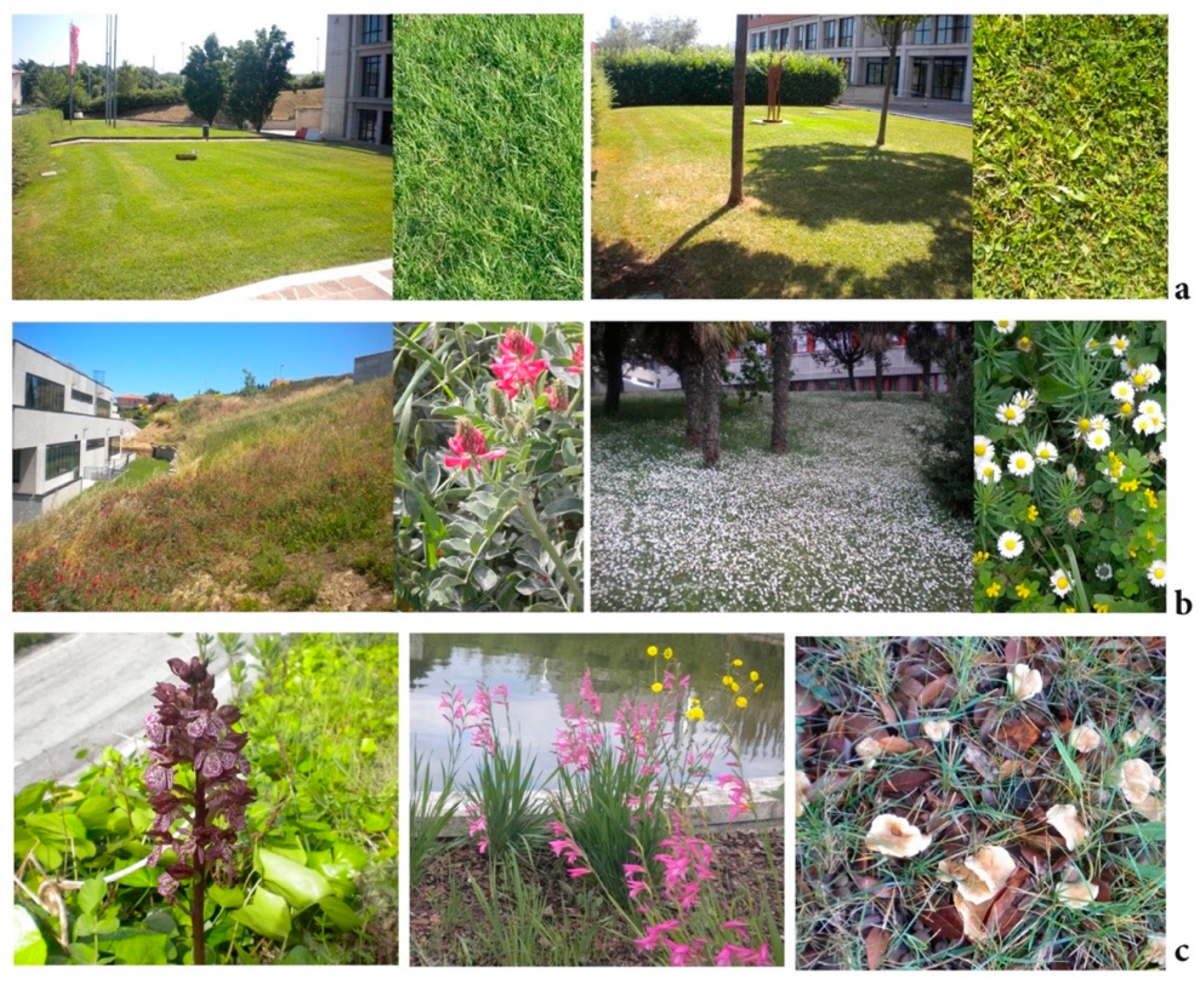 Sustainability 14 04243 g007