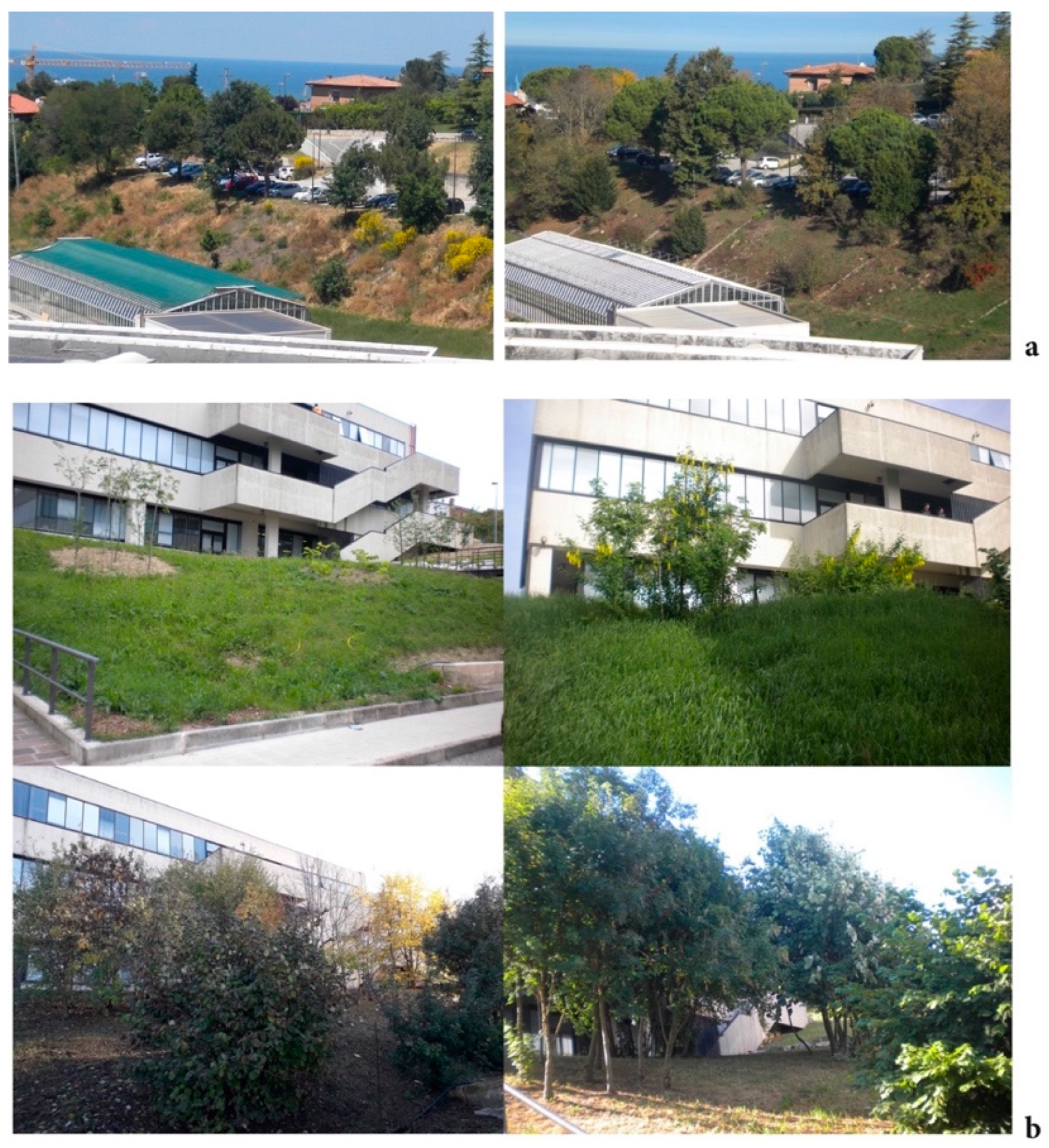 Sustainability 14 04243 g009